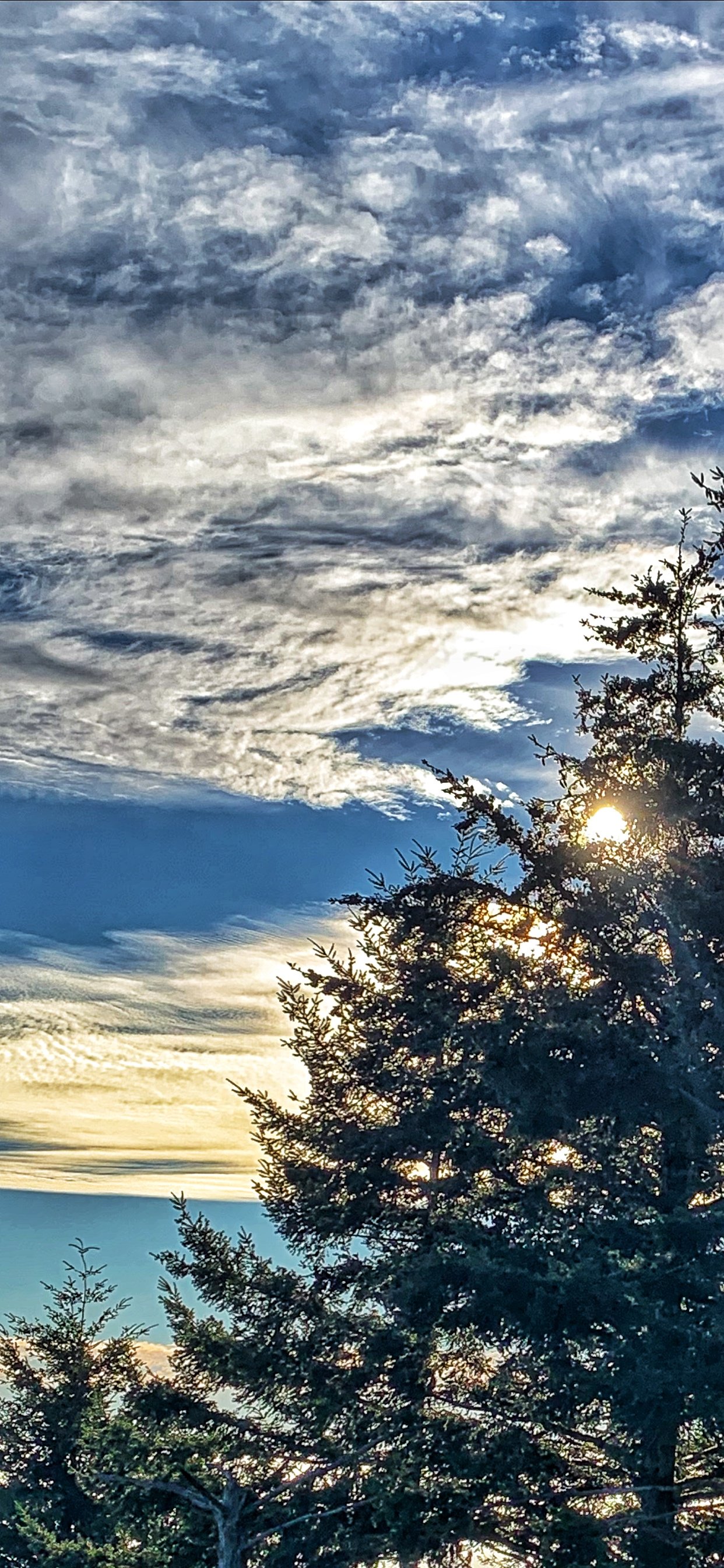 Tunitas Creek