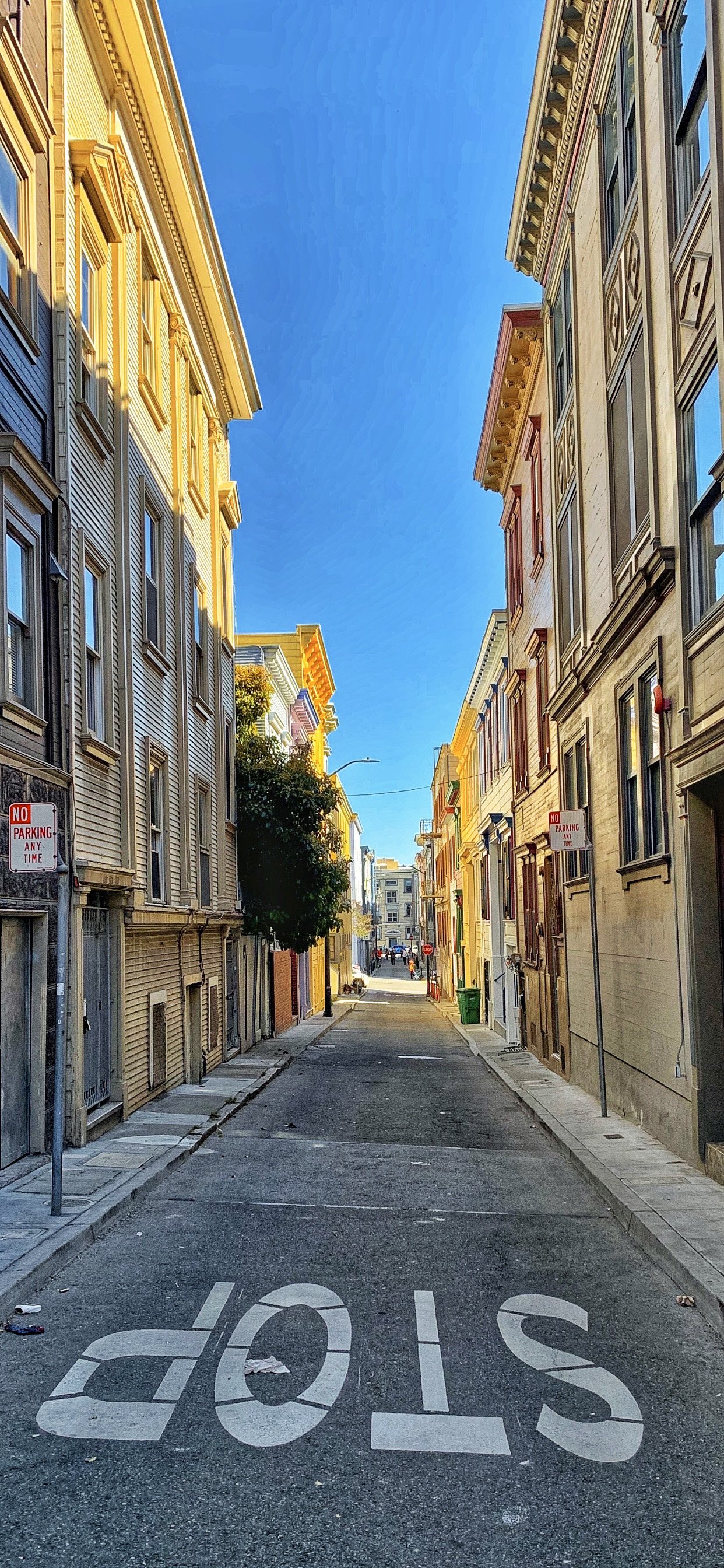 Jasper Alley in NorthBeach