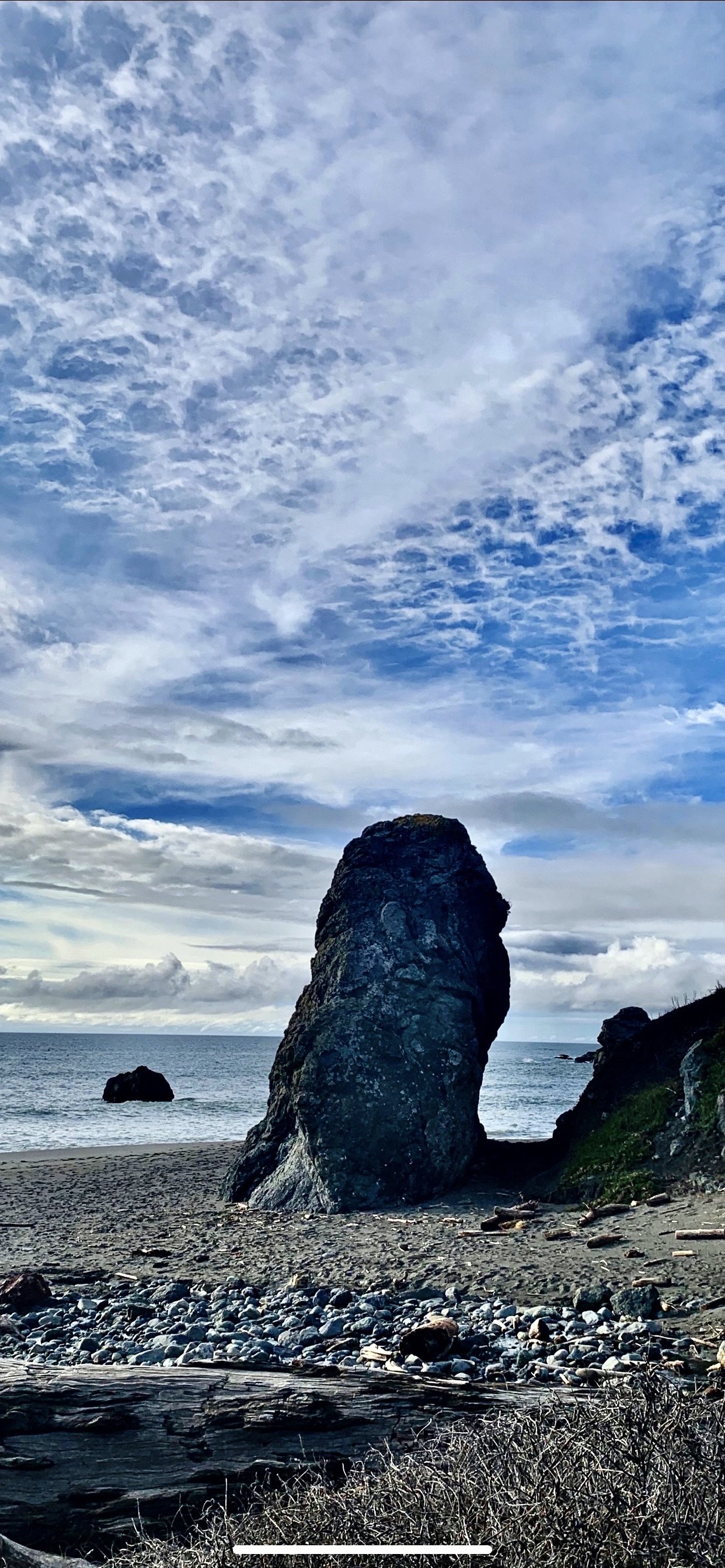 Beach off Kortum Trail