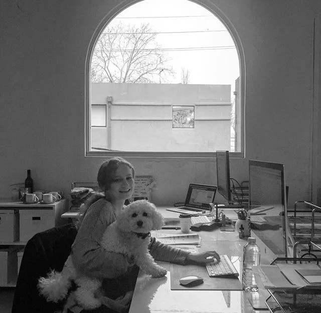 We moved to our new office in Chippendale and we couldn't be happier!