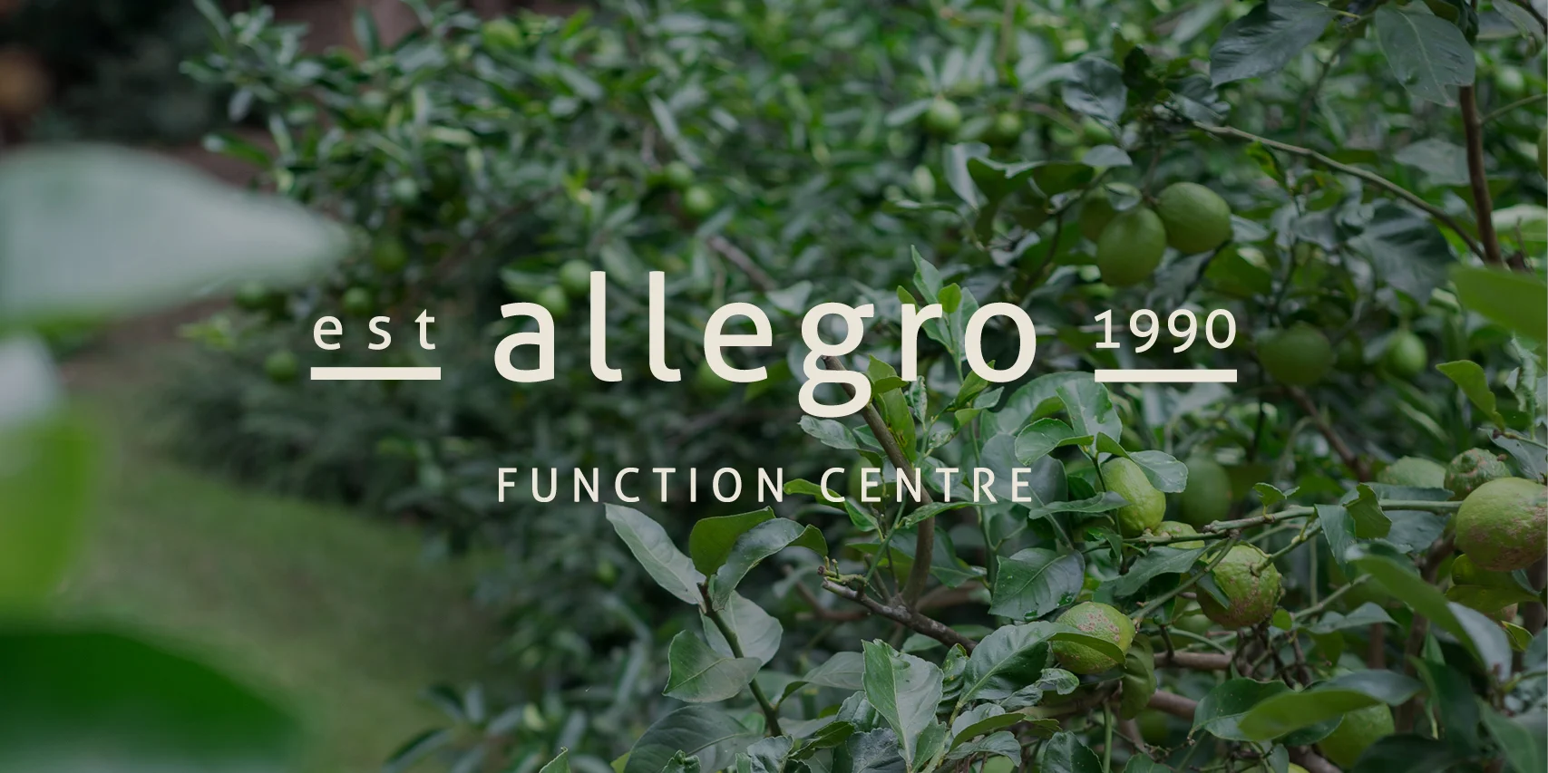 Dreamanddo_allegro-portfolio2.jpg
