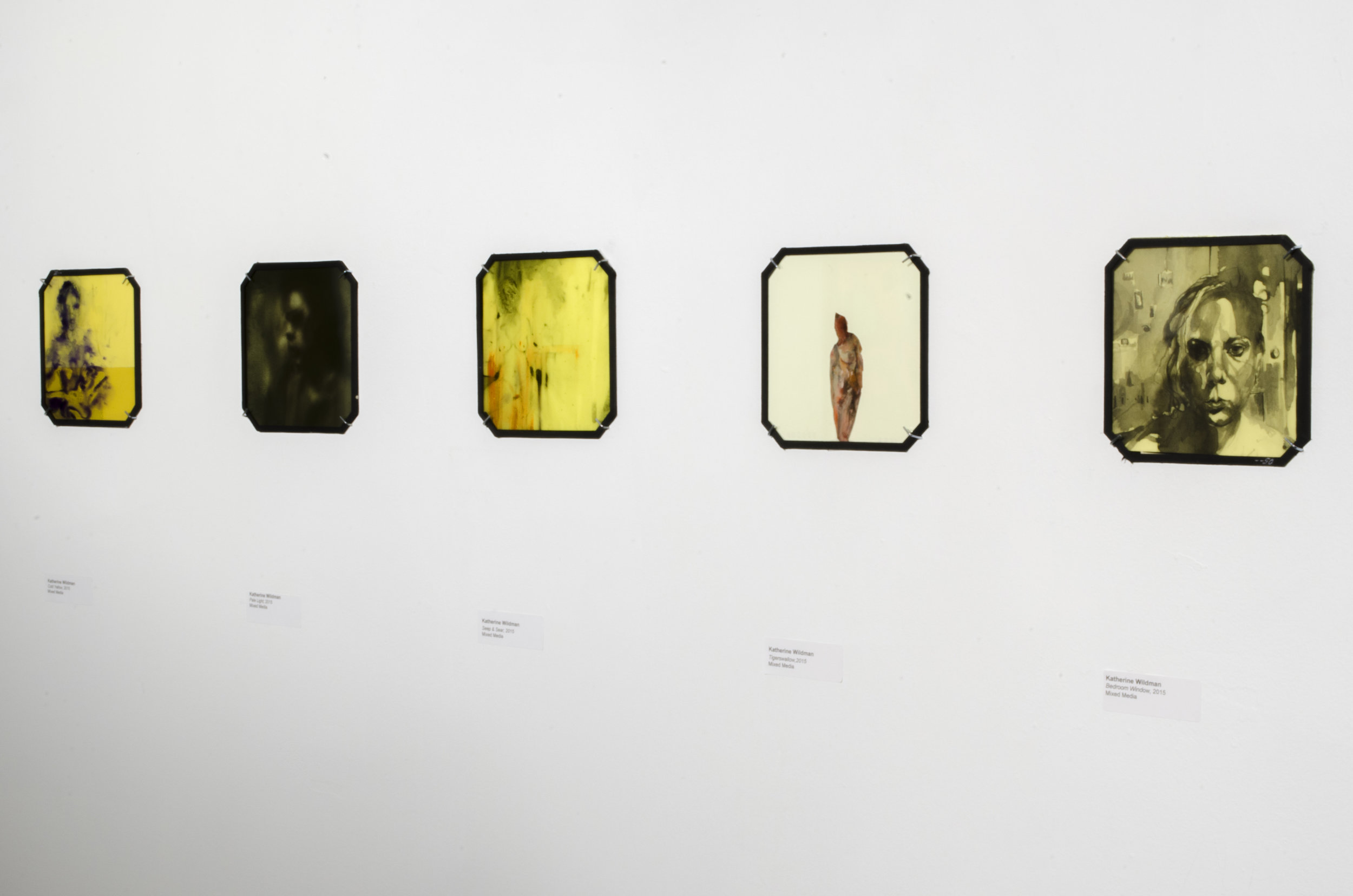 Installation Shot of Glass Series