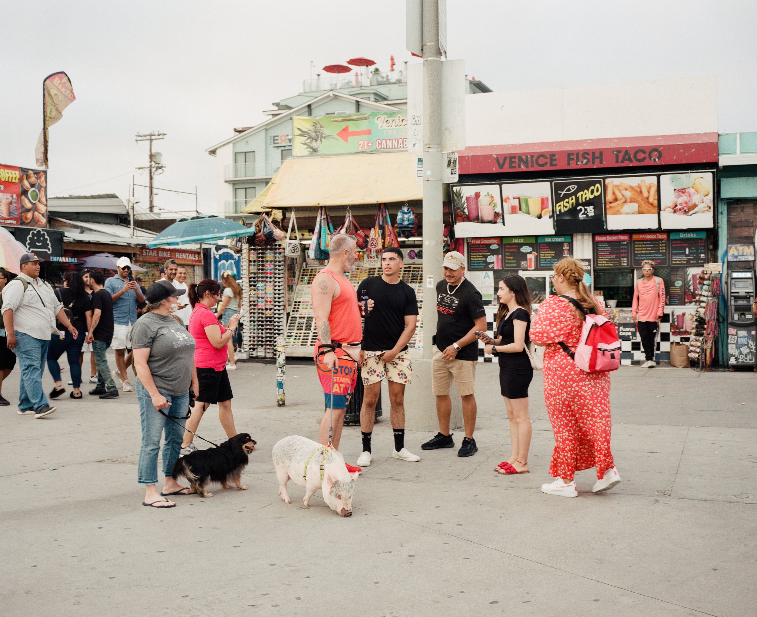  From the series and upcoming book  VESUVIUS   