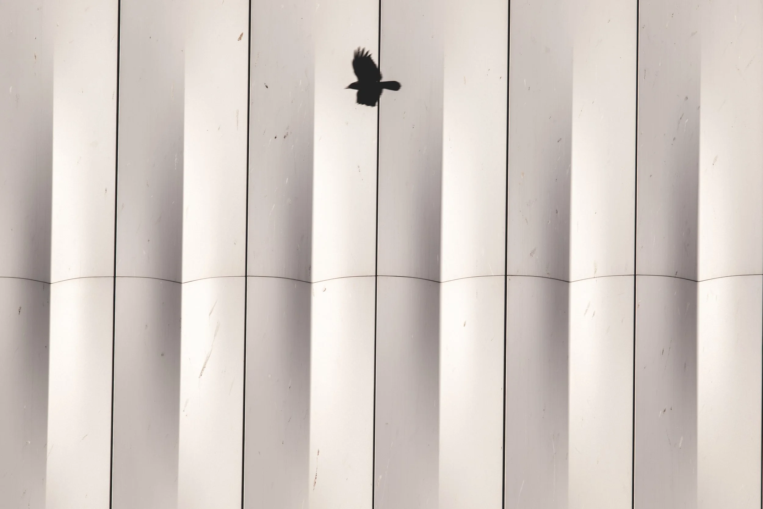 Altkat Architectural Photography_RPBW_Istanbul Modern_1.jpg