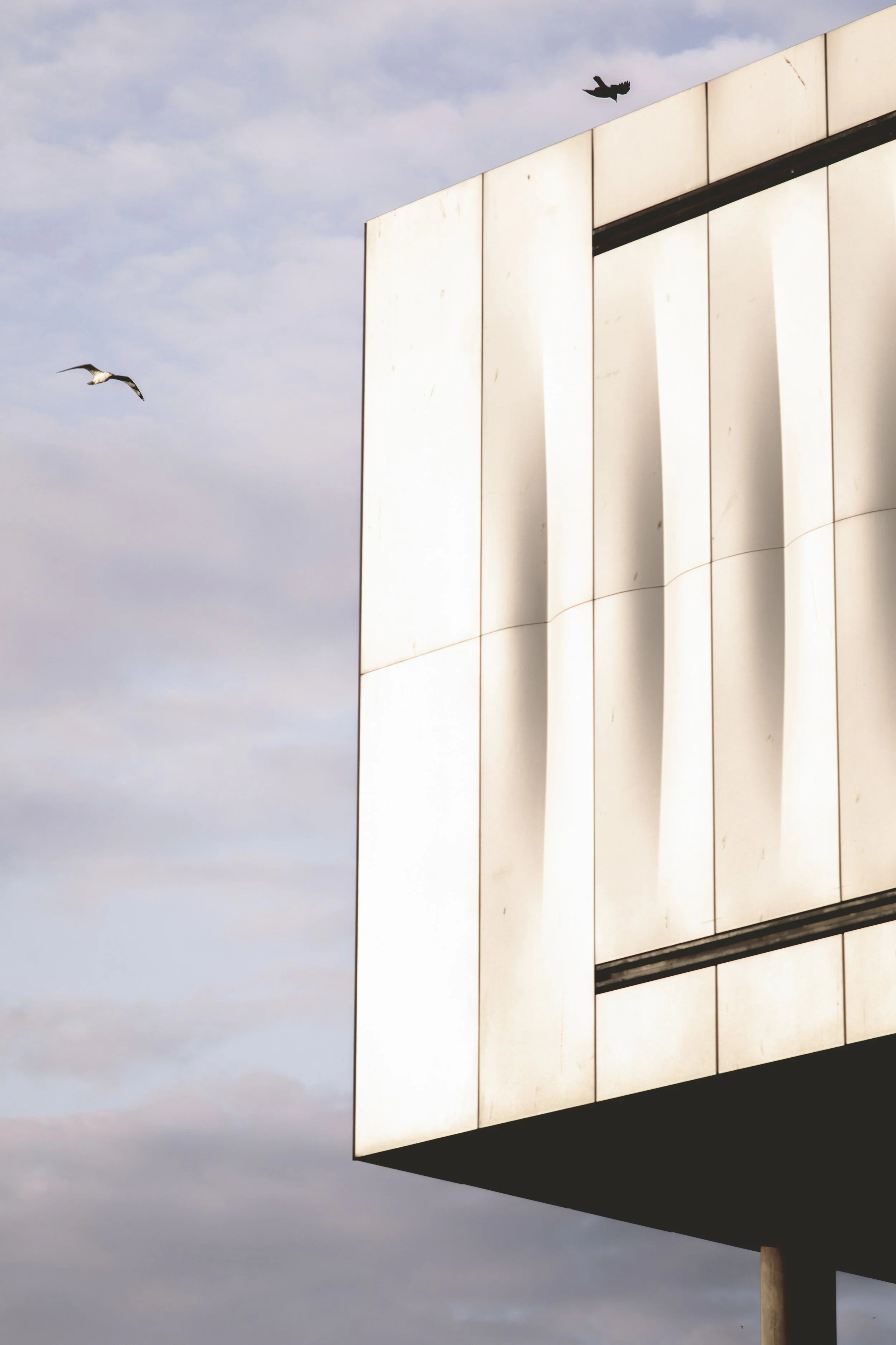 Altkat Architectural Photography_RPBW_Istanbul Modern_2.jpg
