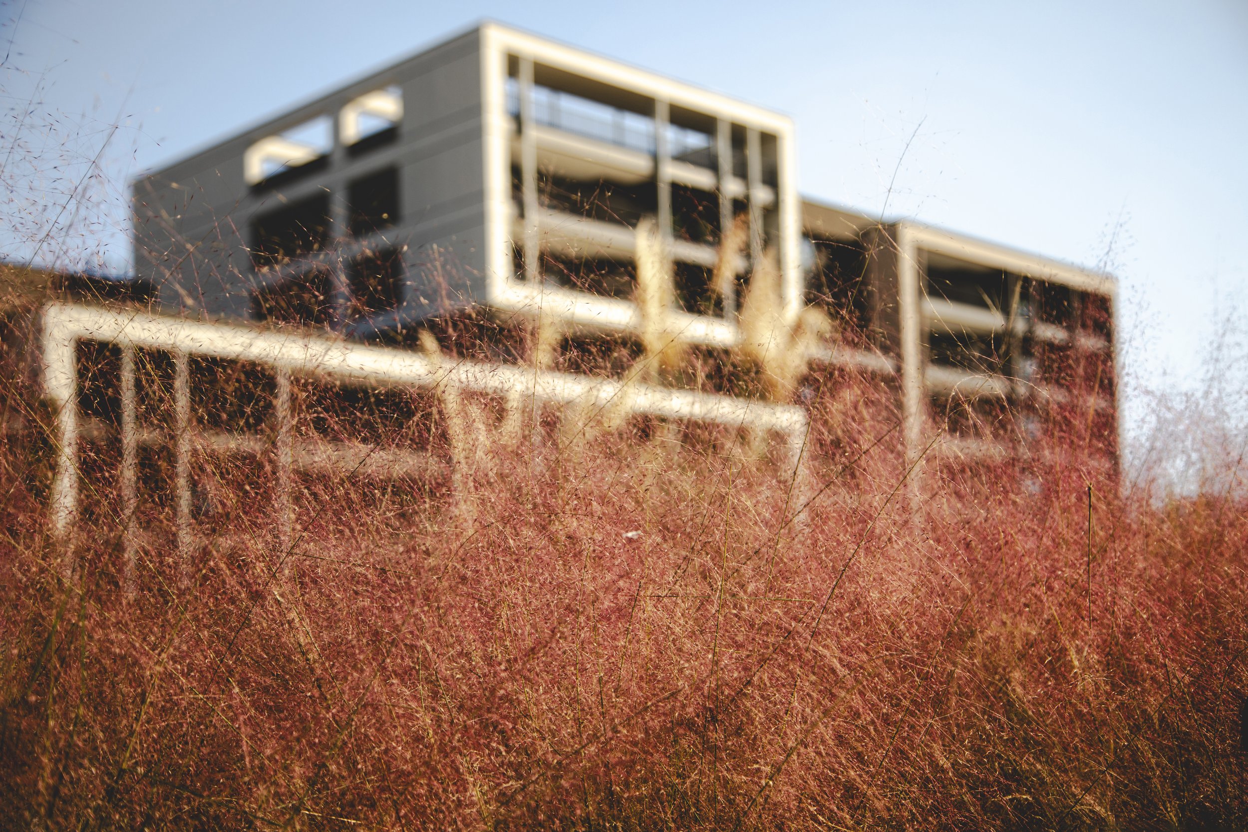 Altkat Mimari Fotoğraf_Beoffice_Newline_40k.jpg