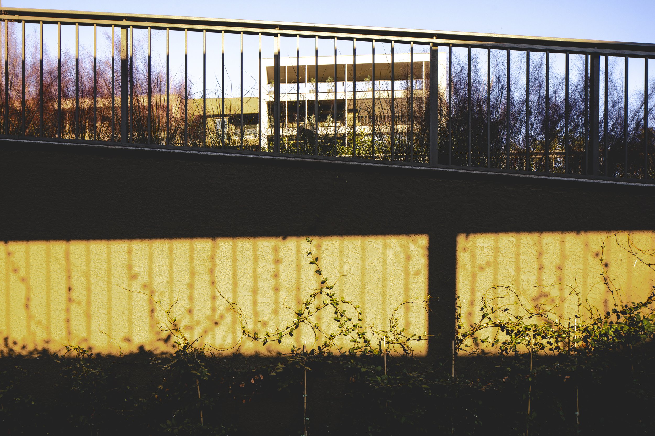 Altkat Mimari Fotoğraf_Beoffice_Newline_81k.jpg