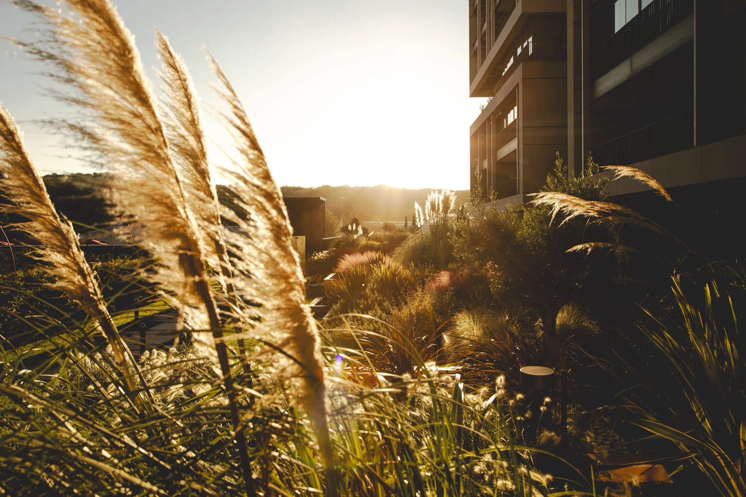 Altkat Mimari Fotoğraf_Beoffice_Newline_104.jpg