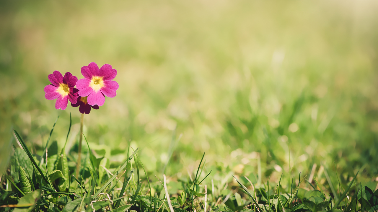 Why Awareness Comes First