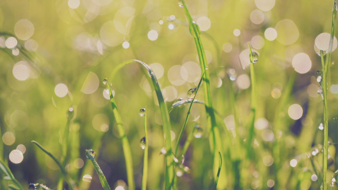 Why Awareness Comes First