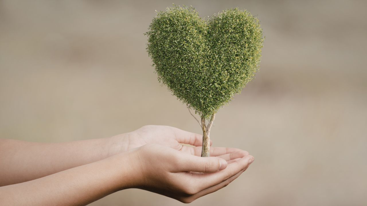 Multidimensional Kindness