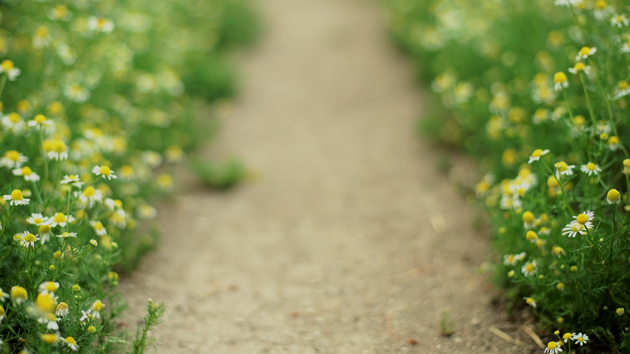The Gratitude Gap