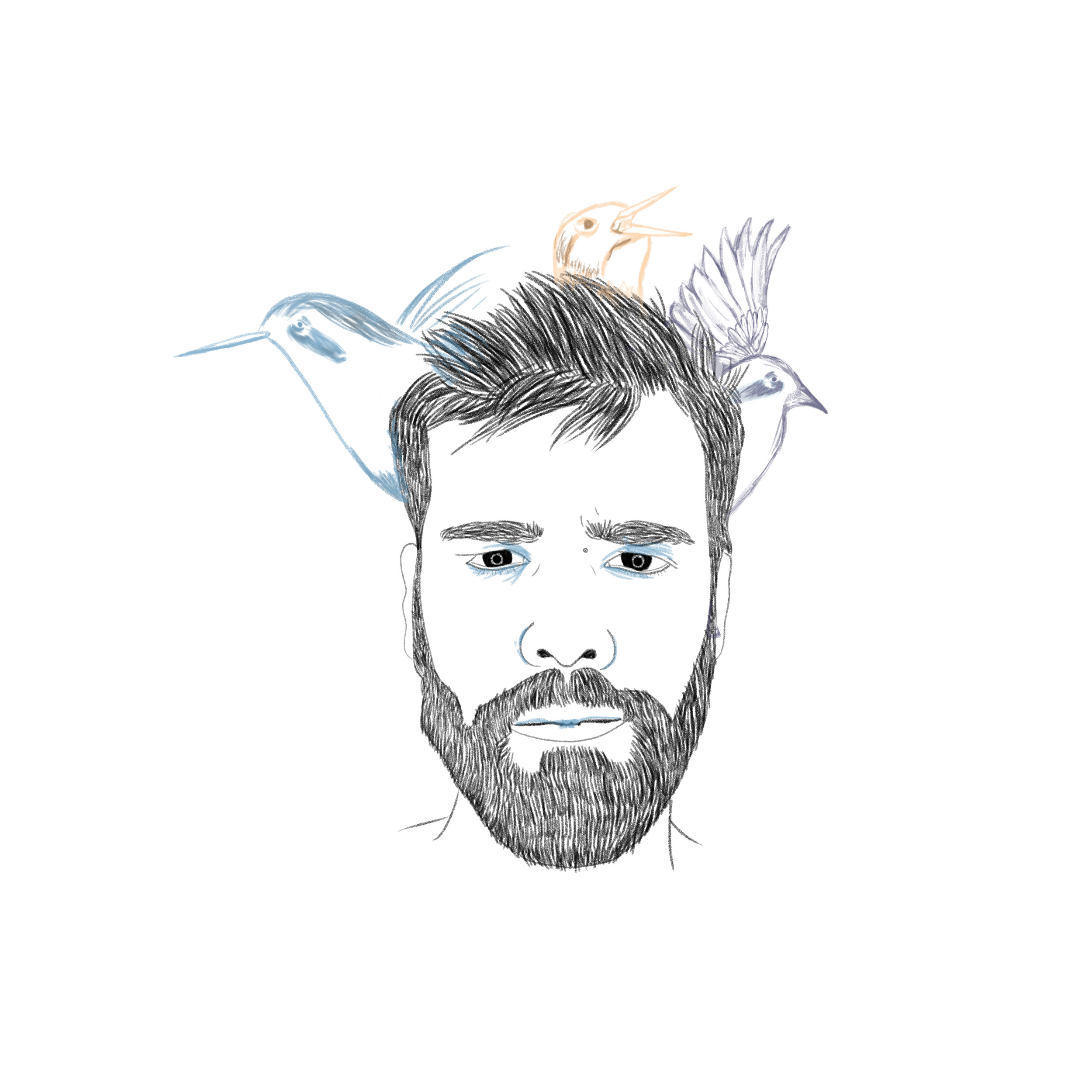 birds head.jpg