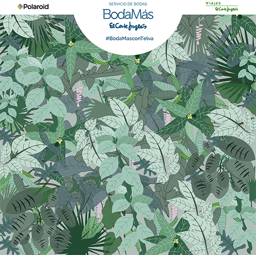 bodamás selva para web.png