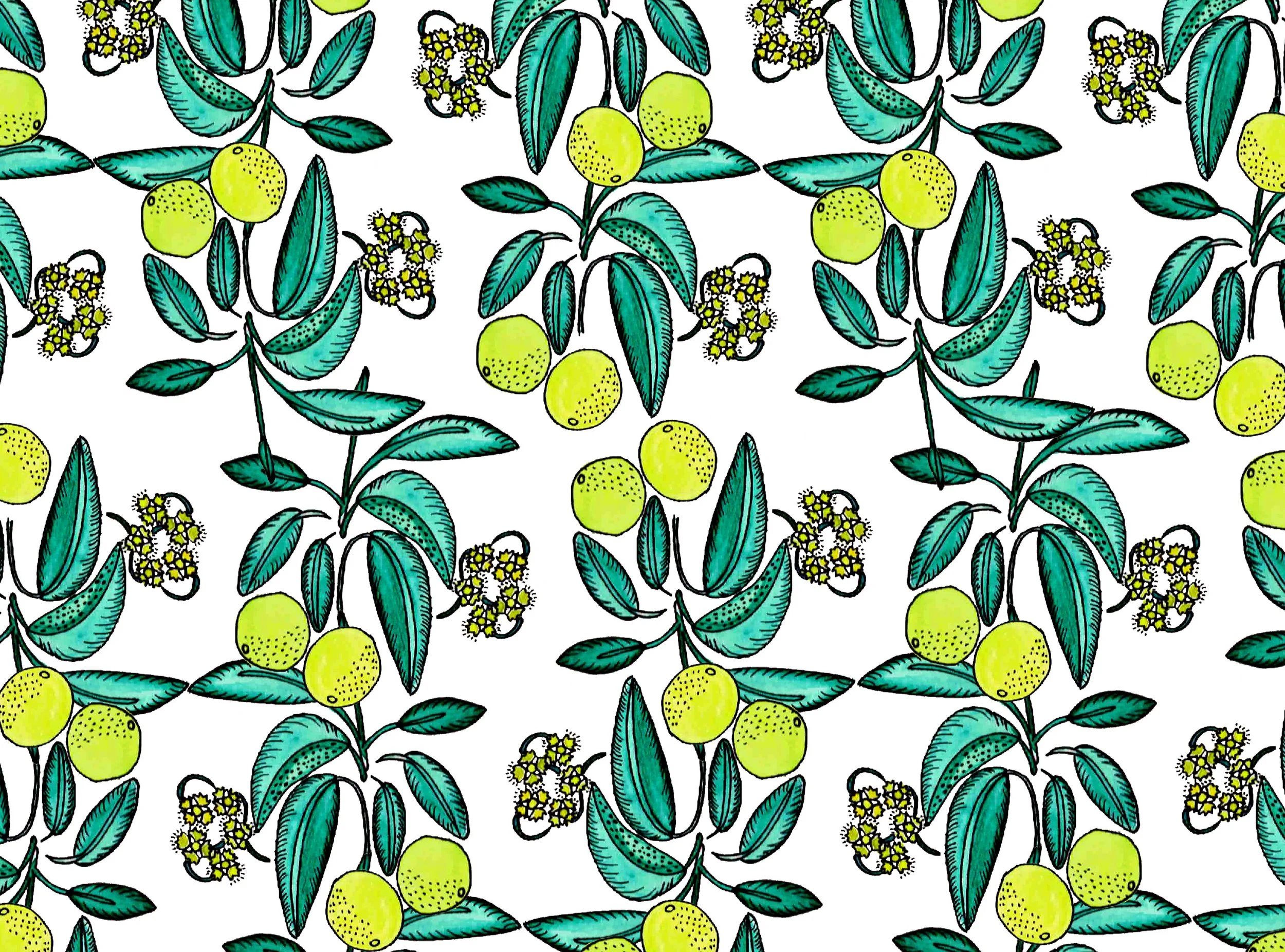 print vegetal & limons_webclose.jpg