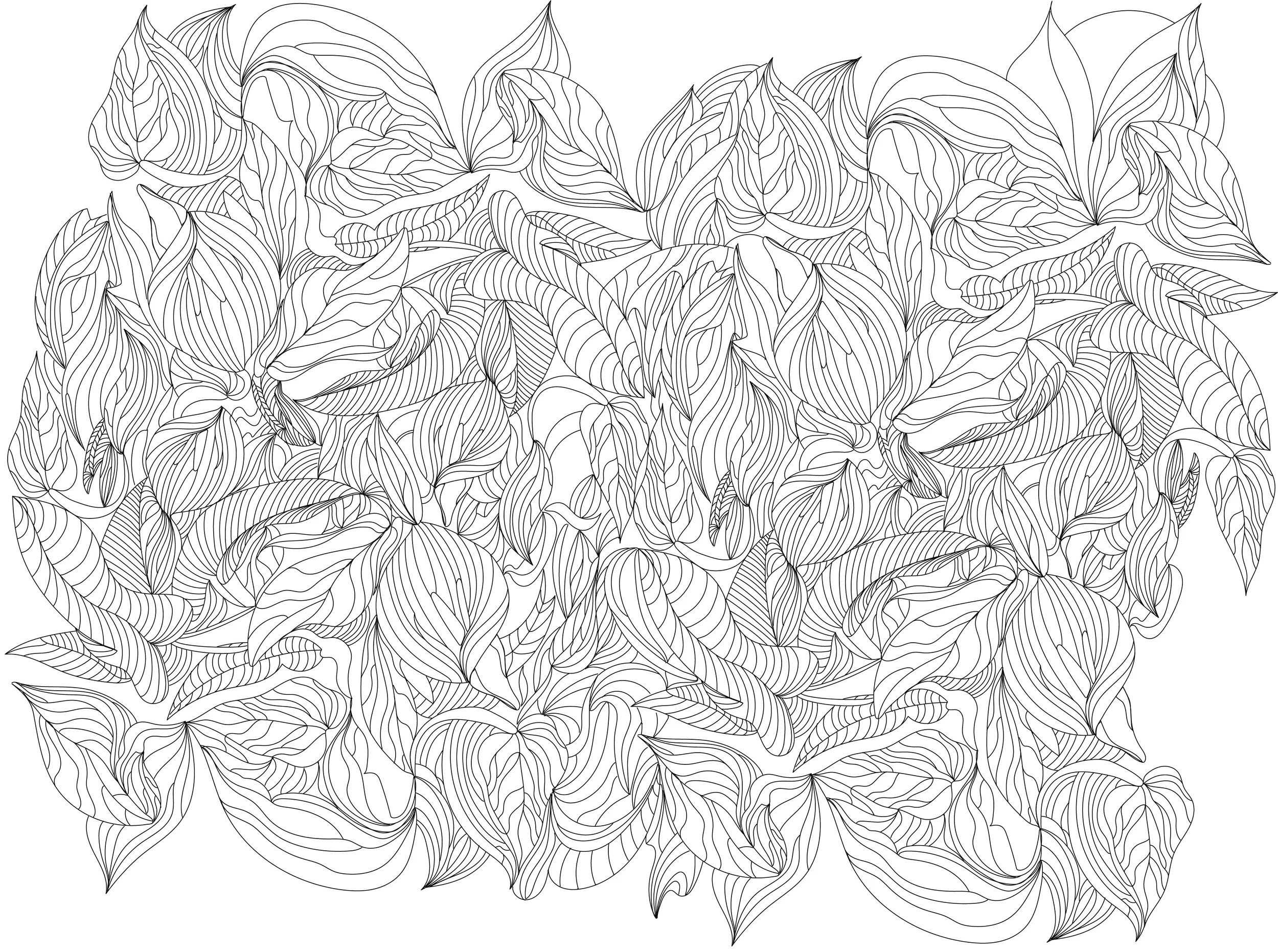 leaves big.jpg