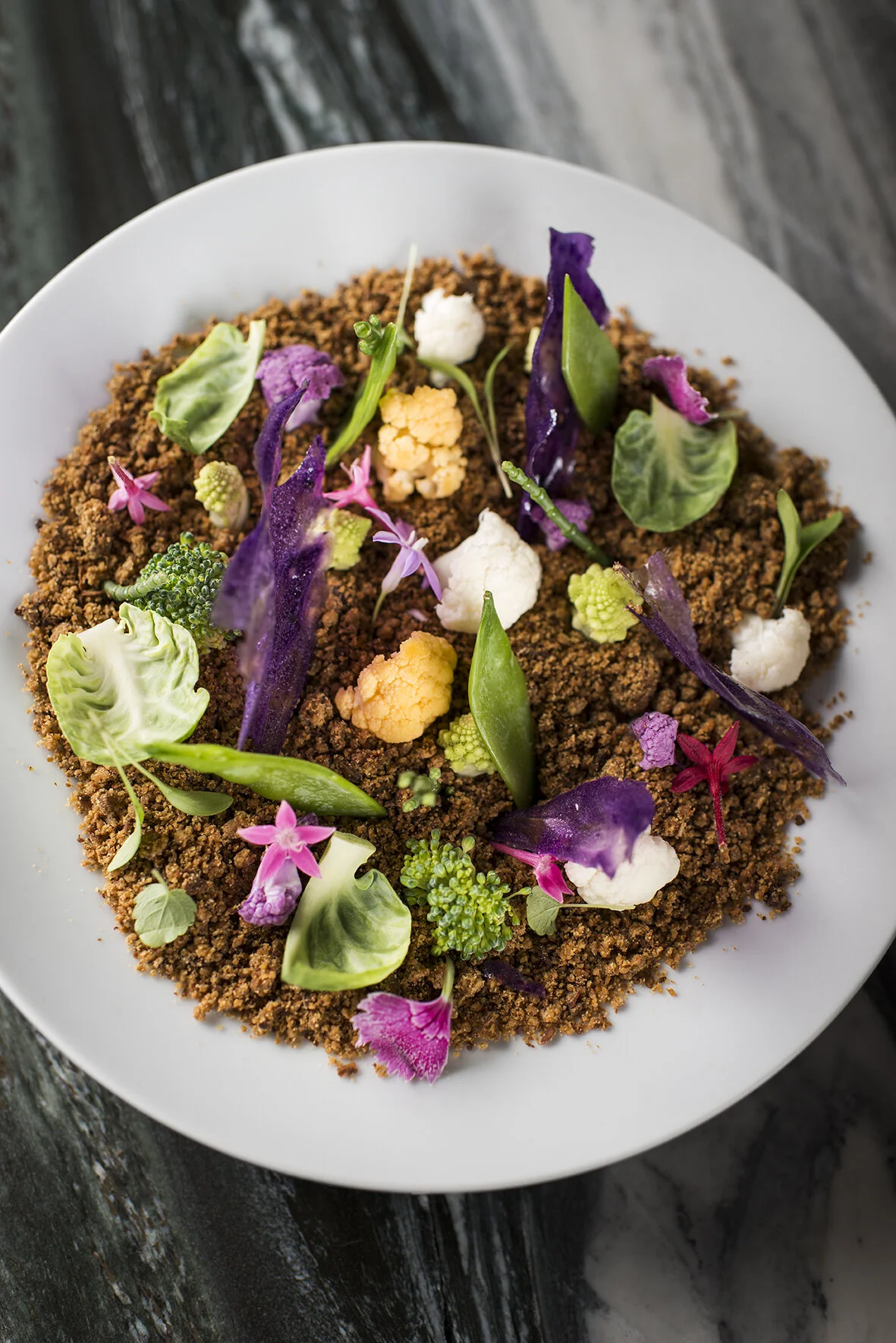 Lucia Ybarra Photography_Romola_06.jpg