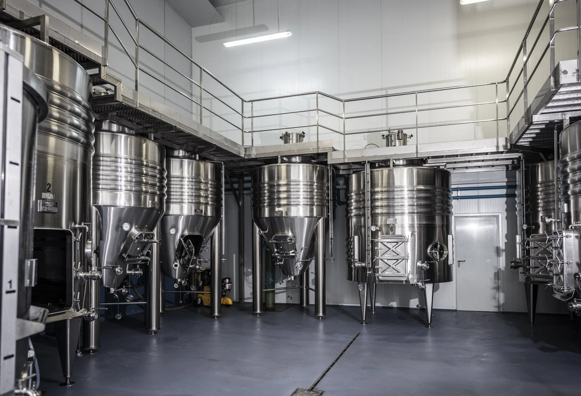 Bodega 202 Feb 21_LYZ4294.jpg