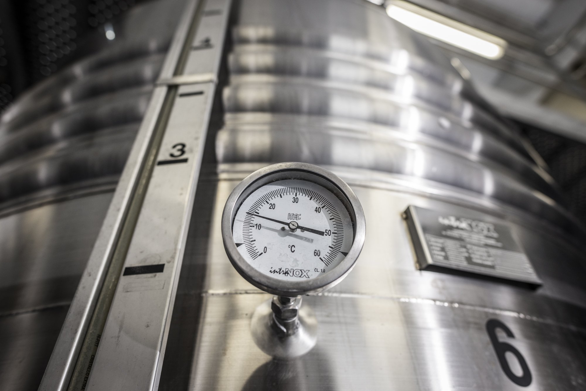 Bodega 202 Feb 21_LYZ4296.jpg