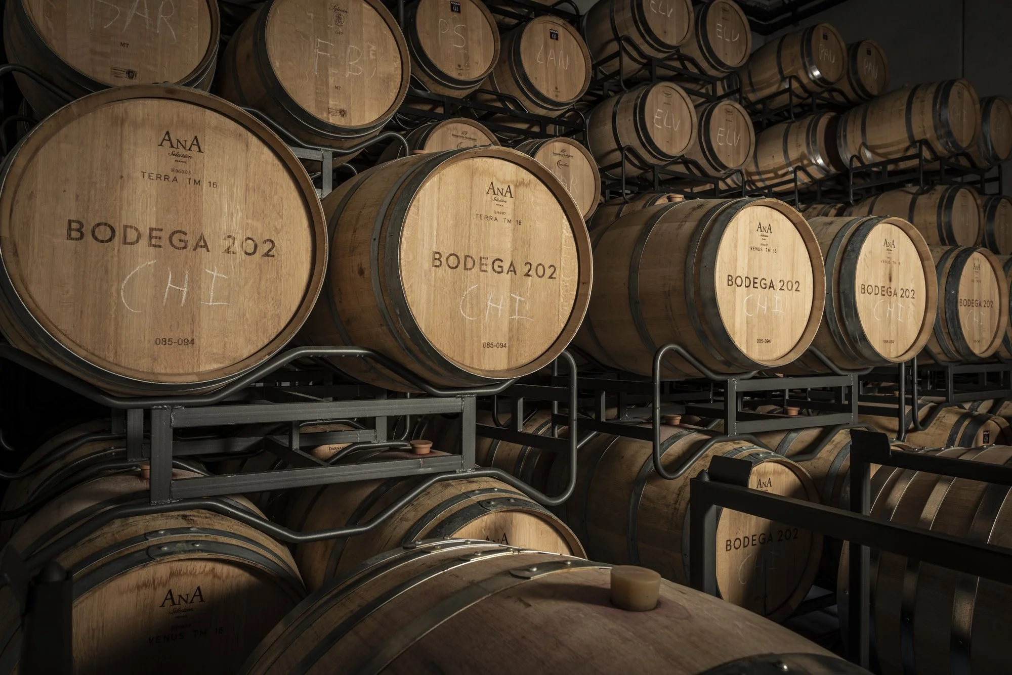 Bodega 202 Feb 21_LYZ4621.jpg