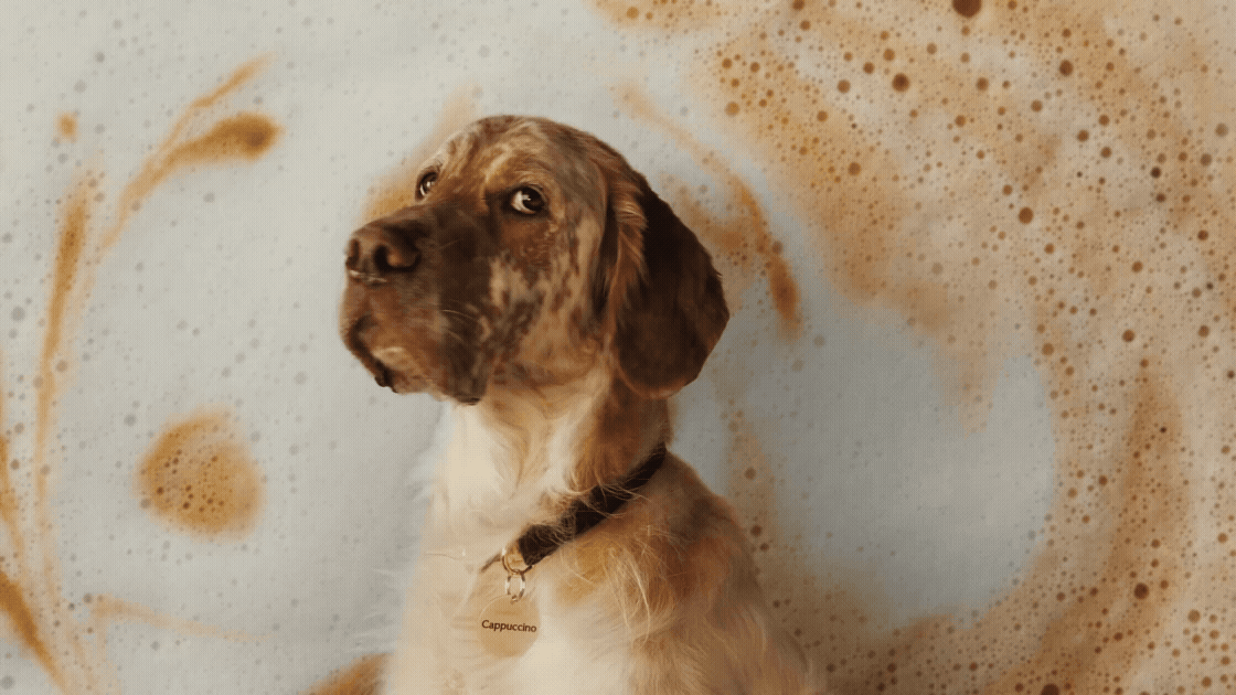014837_Lucky_Generals_Taylors_Take_Notes_20sec_Synthematic_Revised_2026_05_28.gif