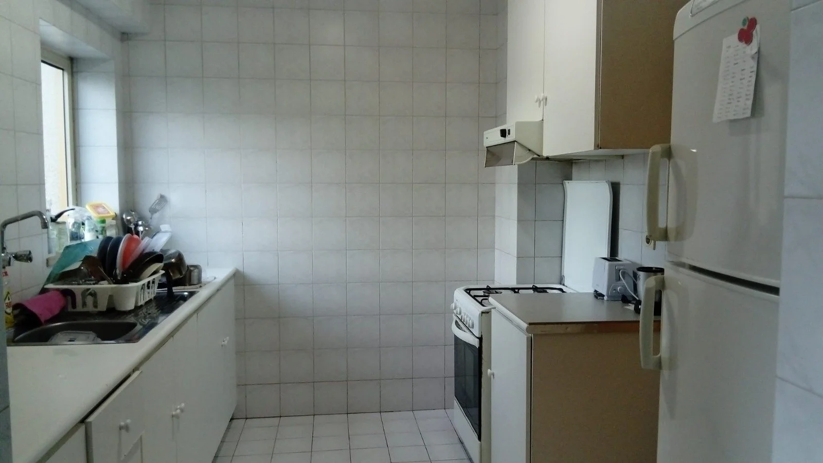 1000141177.jpg