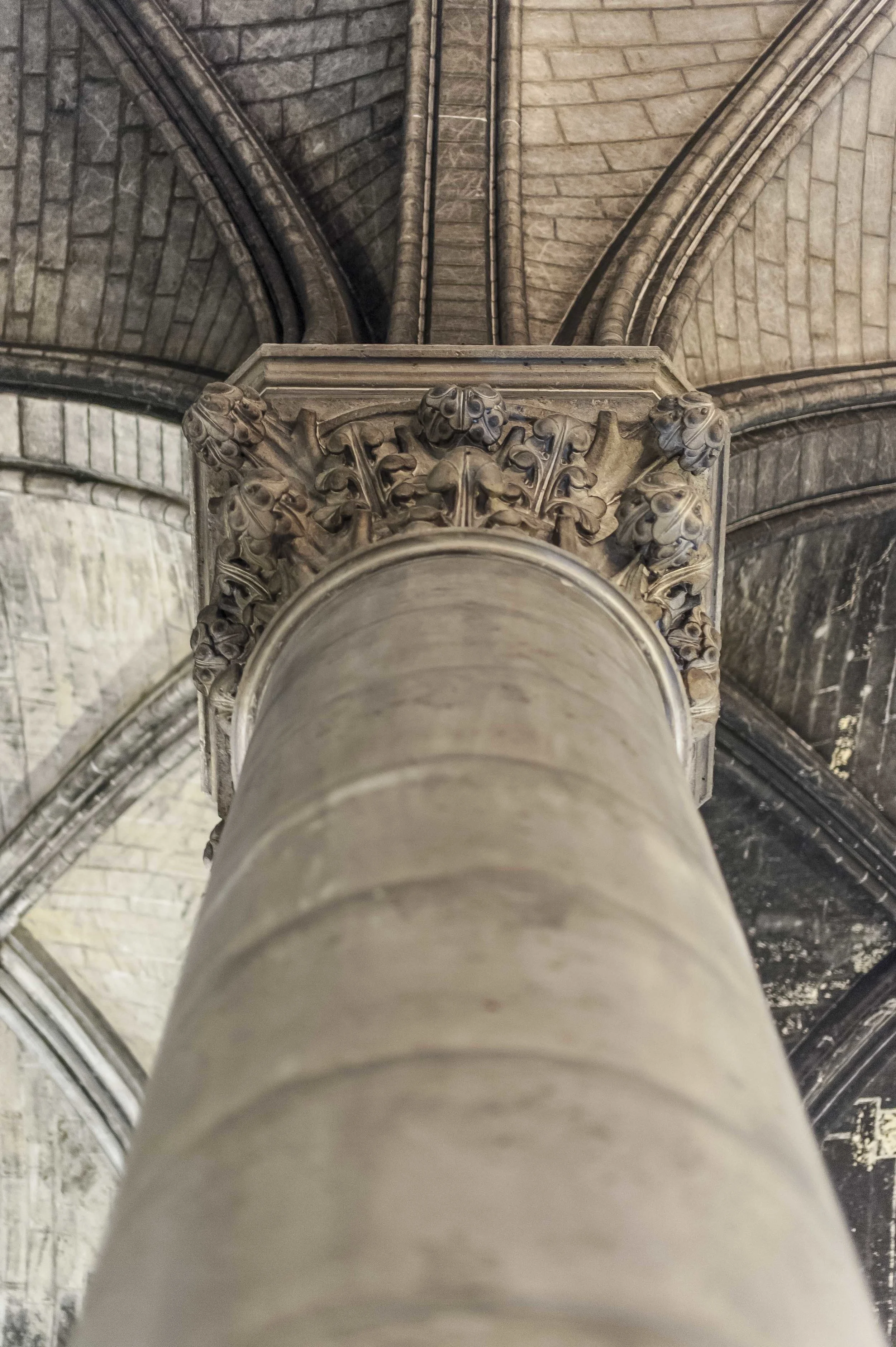 Paris_Nikon_20170507_007.jpg