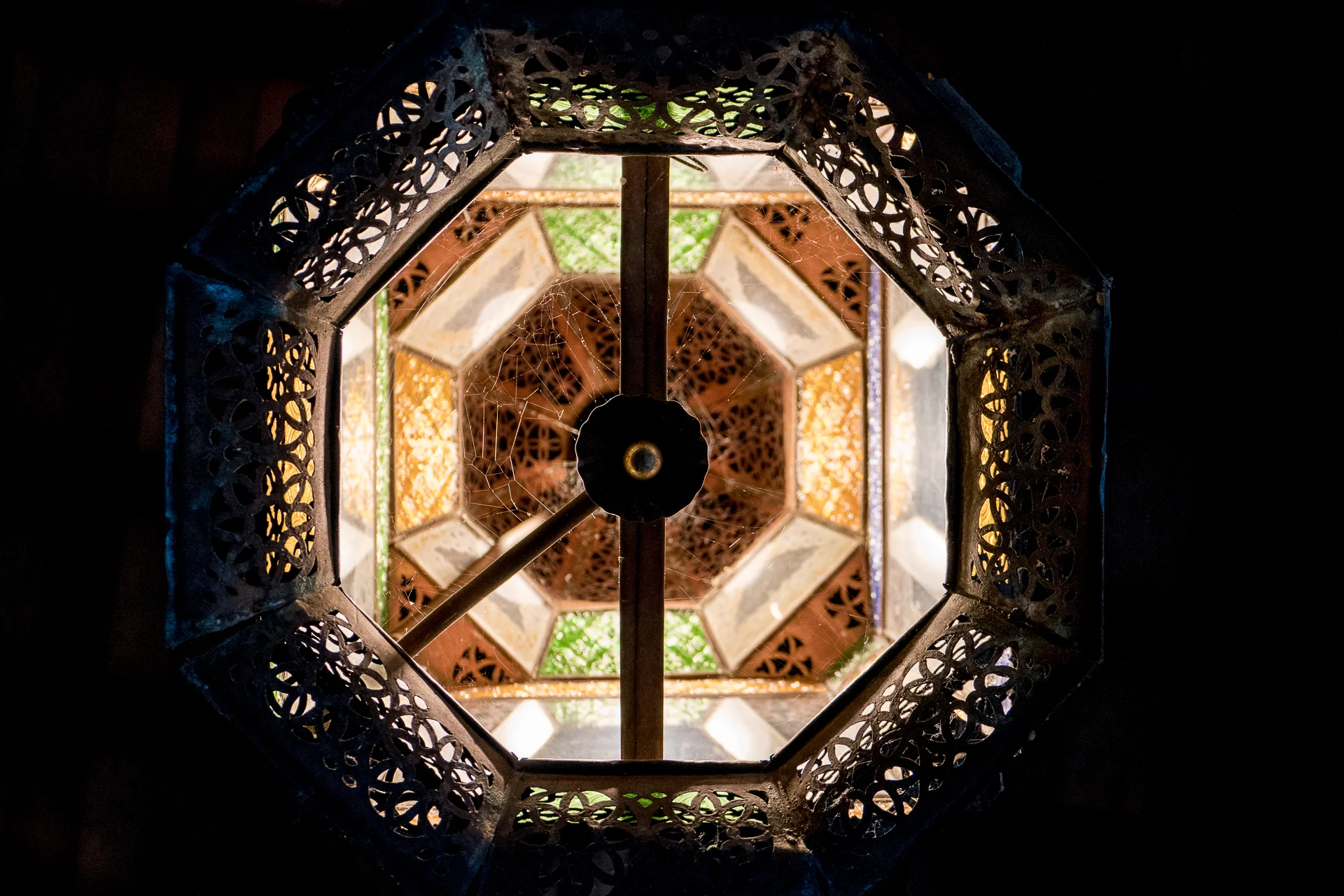 Epcot_ForWebsite_016.jpg
