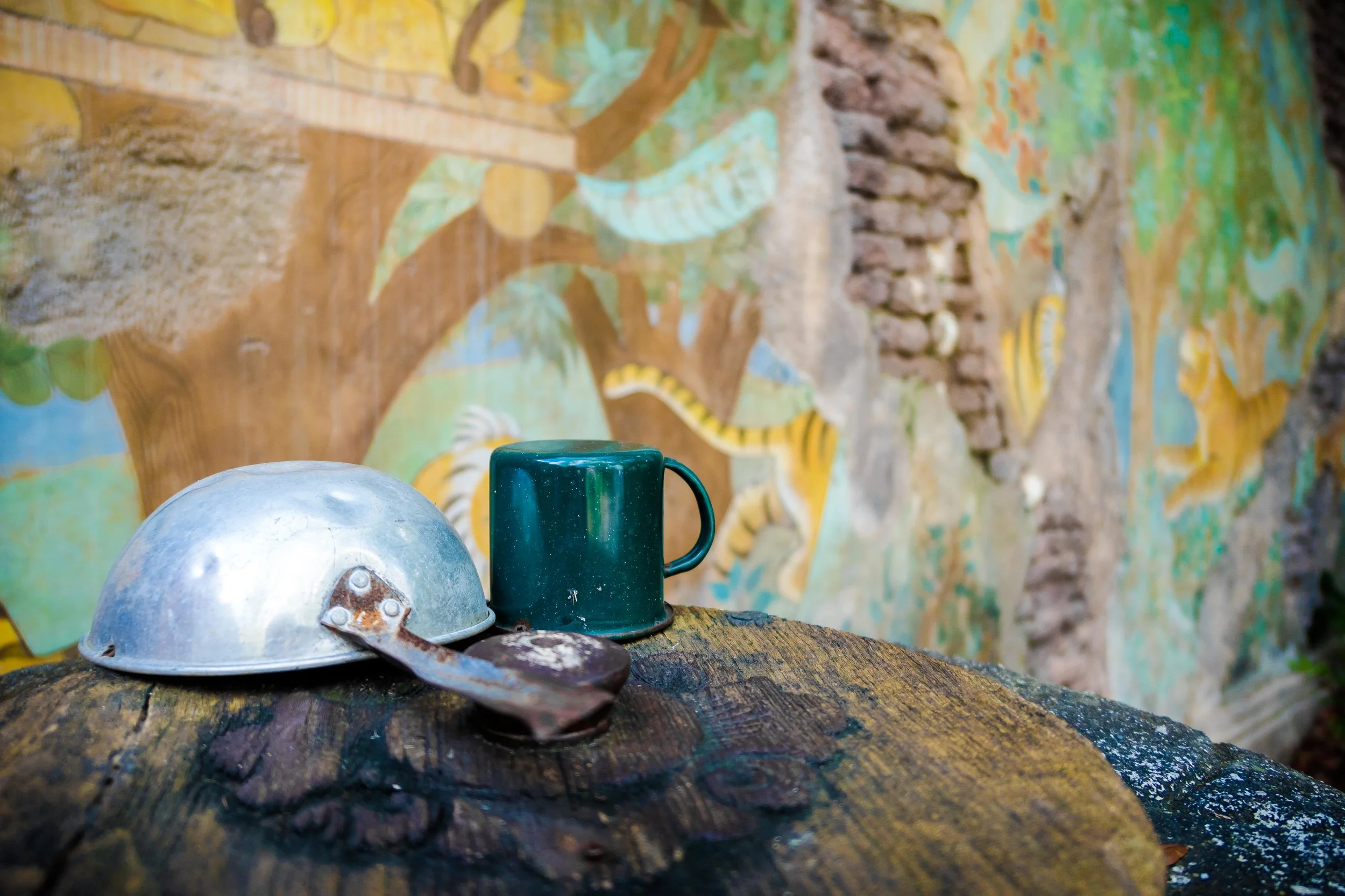 AnimalKingdom_011.jpg