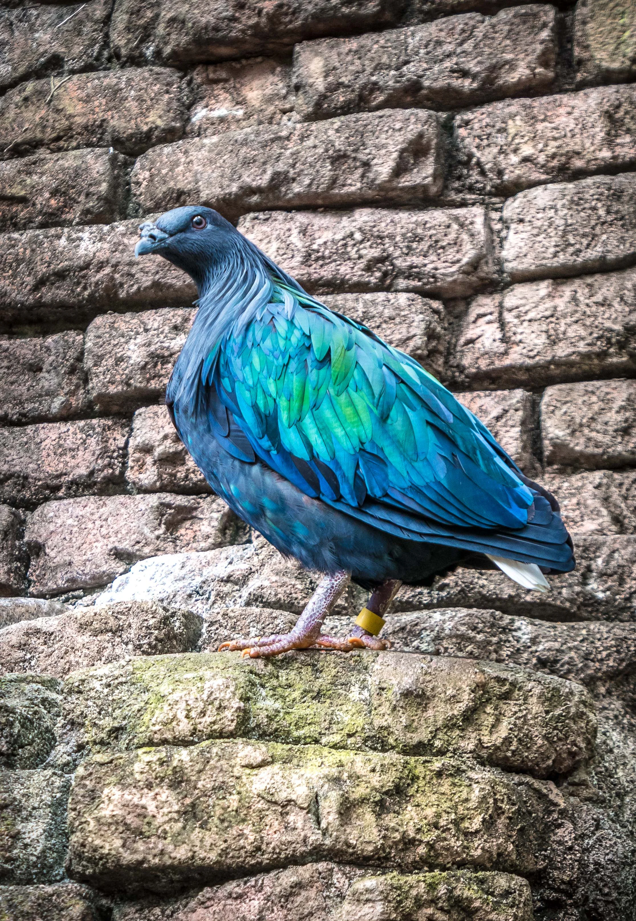AnimalKingdom_014.jpg