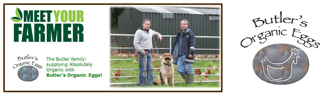 Butlers-Organic-Eggs.jpg