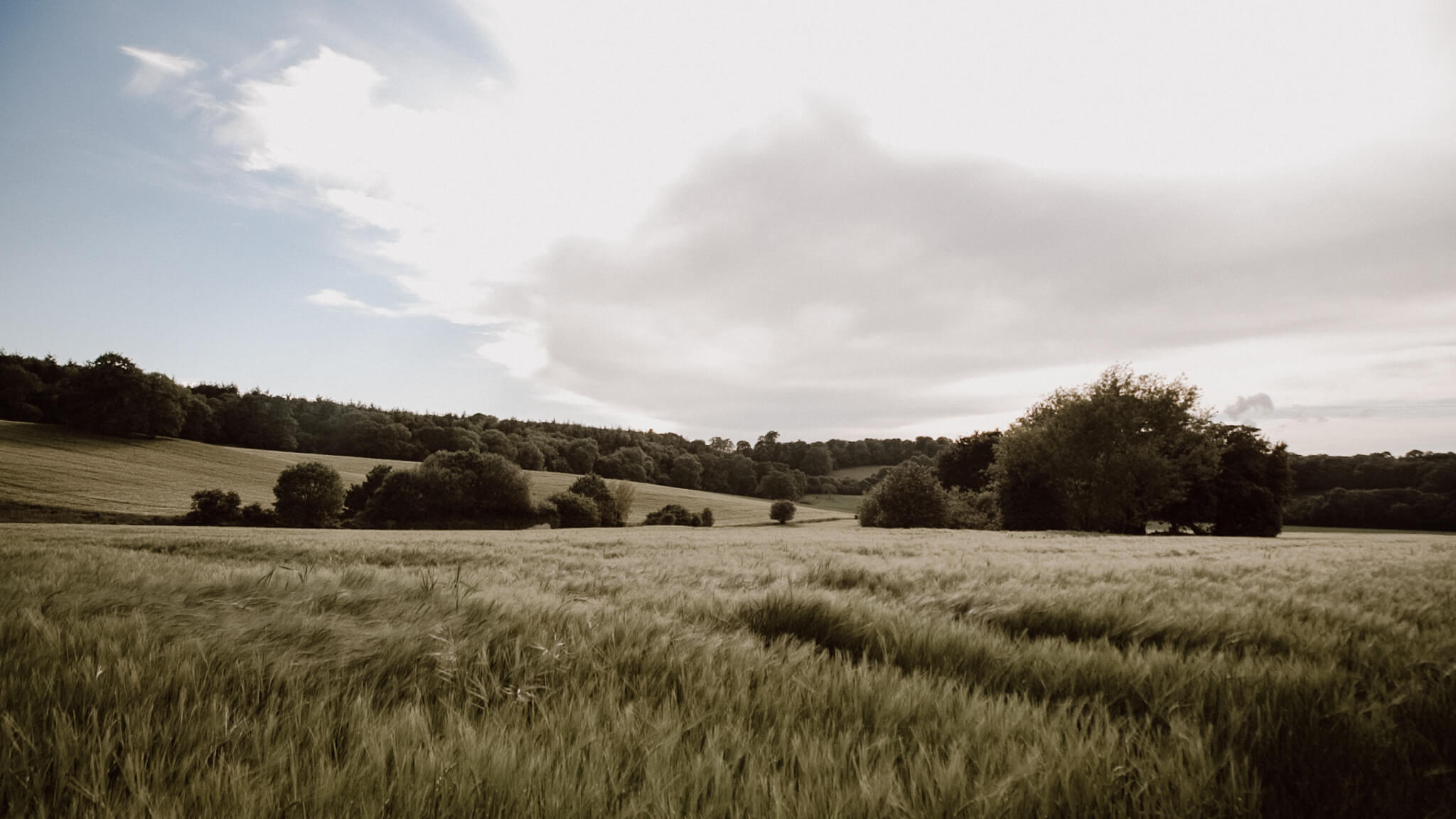 St Audries Park Somerset Wedding Videography