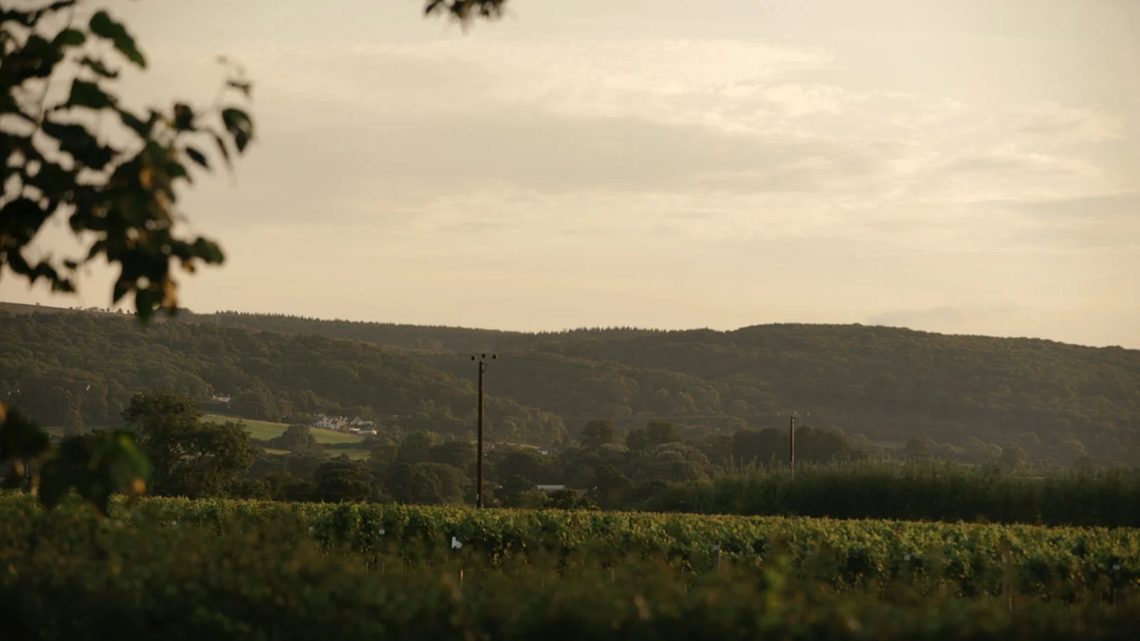 Aldwick Court Farm & Vineyard Wedding Videographer