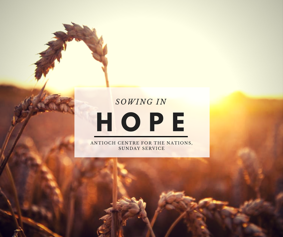 Sowing in Hope