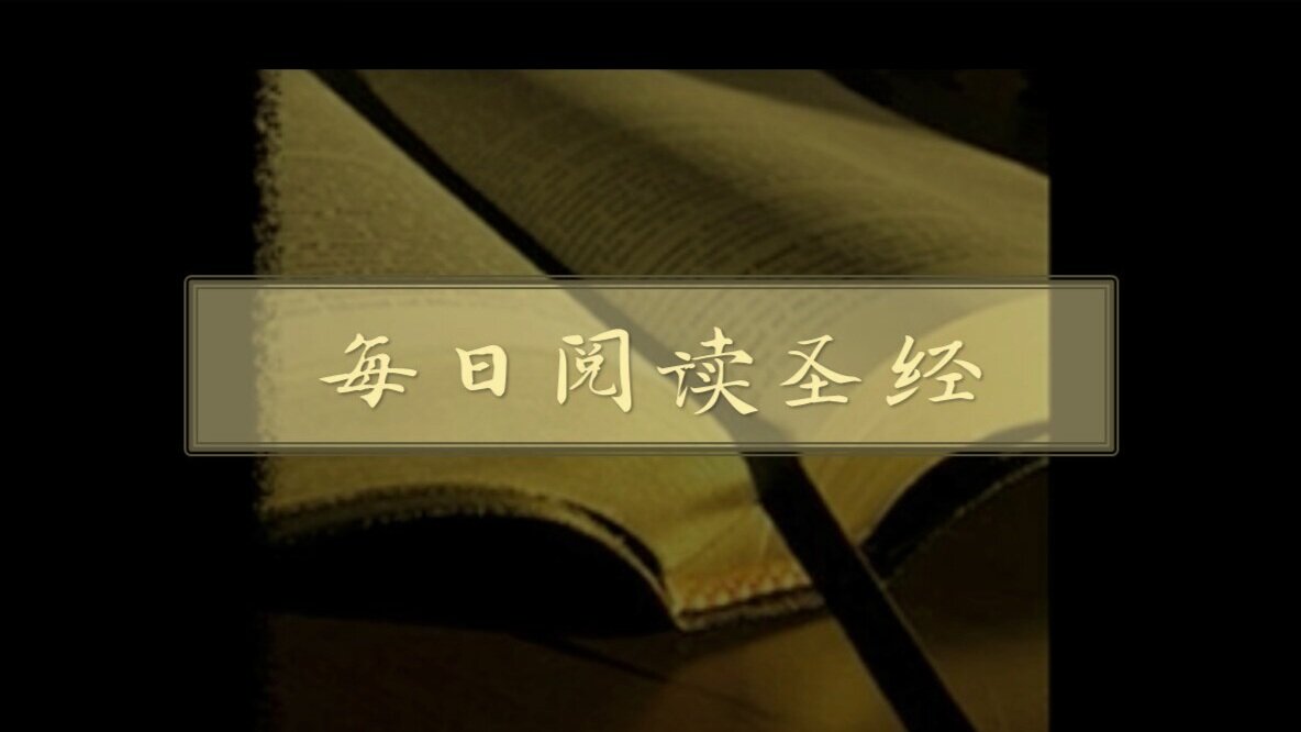 Chinese Bible 