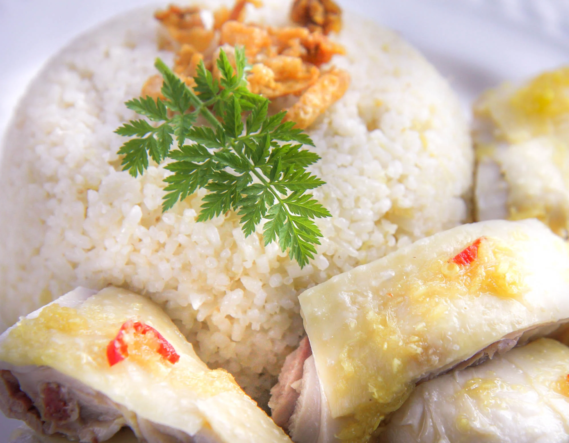 Vietnamese Ginger Chicken Rice Recipe Ga) — Vicky Pham