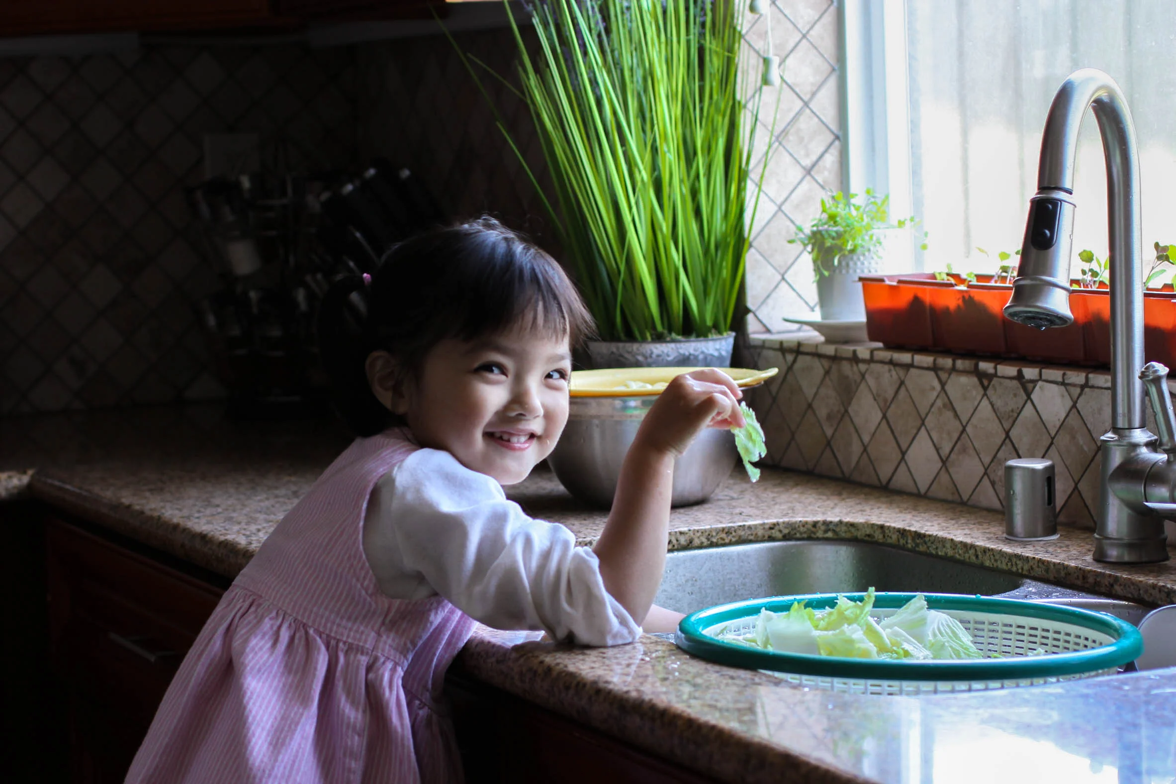 Allyson, 3, washes sliced napa cabbage.