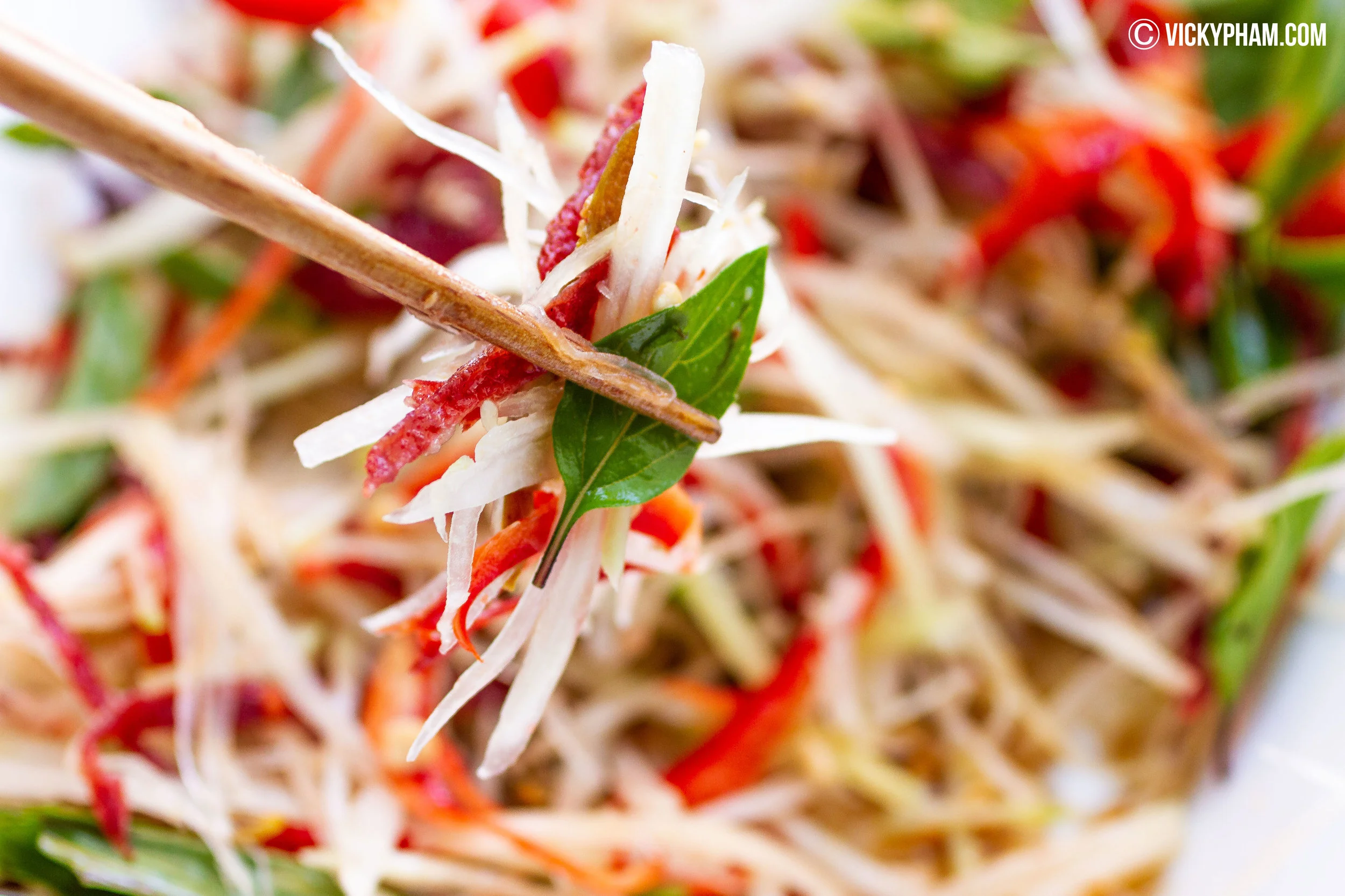 Vietnamese Green Papaya & Beef Jerky Salad (Gỏi Đu Đủ Khô Bò) — Vicky Pham