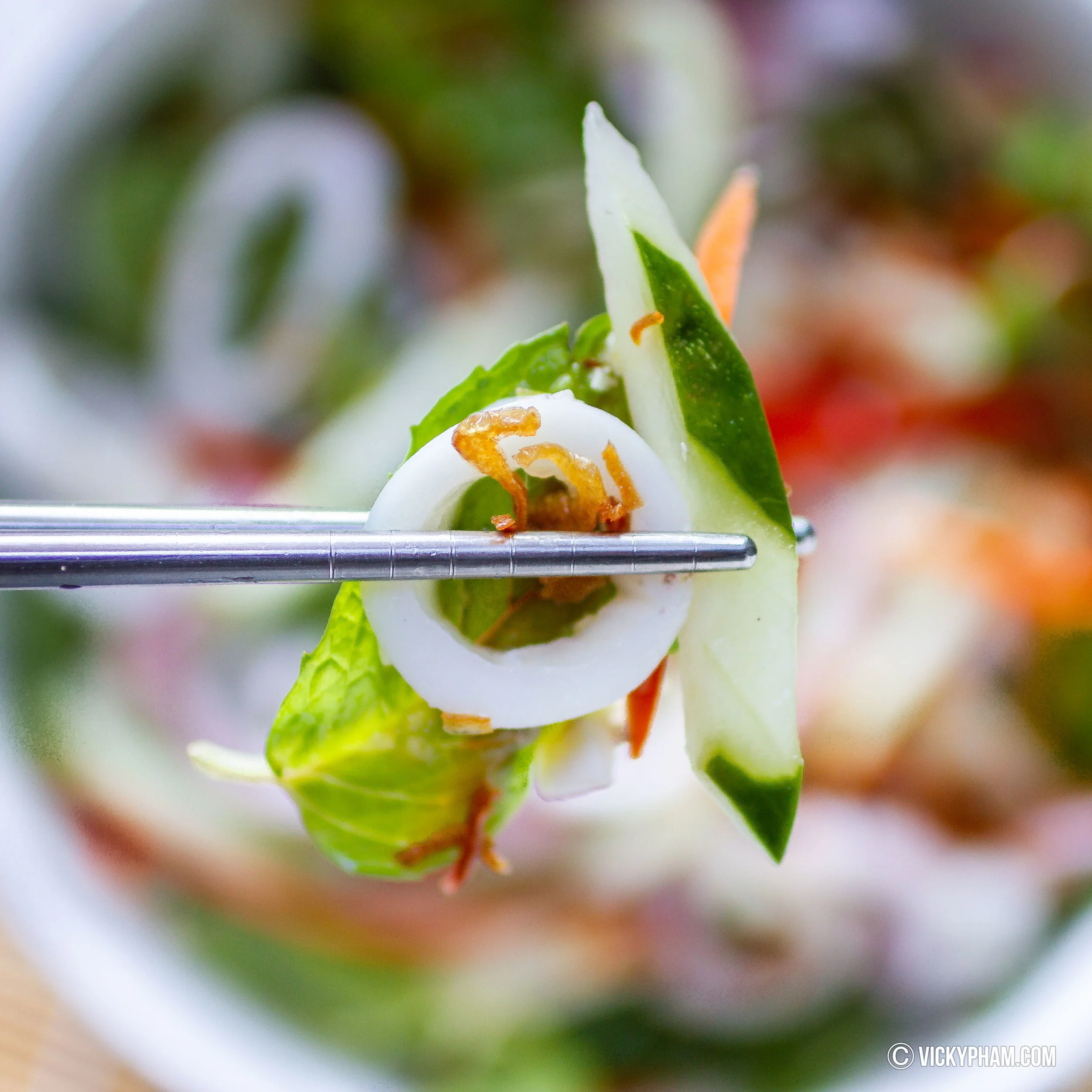 Vietnamese Squid Salad (Goi Muc)