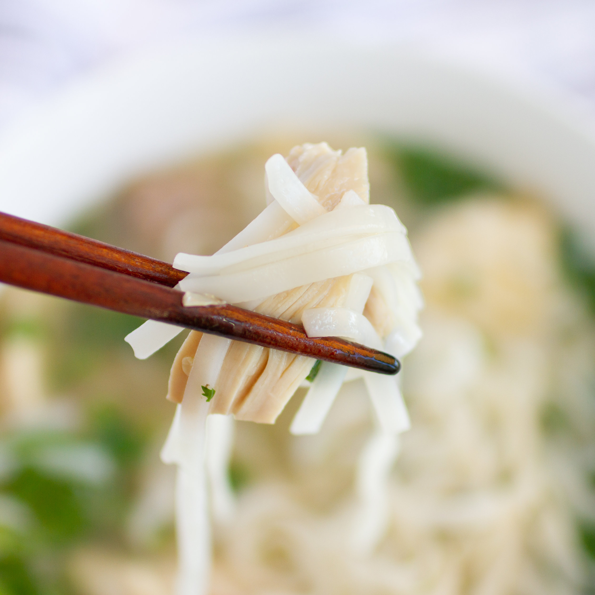 Vietnamese Chicken Noodle Soup (Pho Ga)