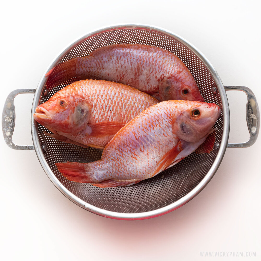 Red Tilapia Fish (Cá Diêu Hồng)