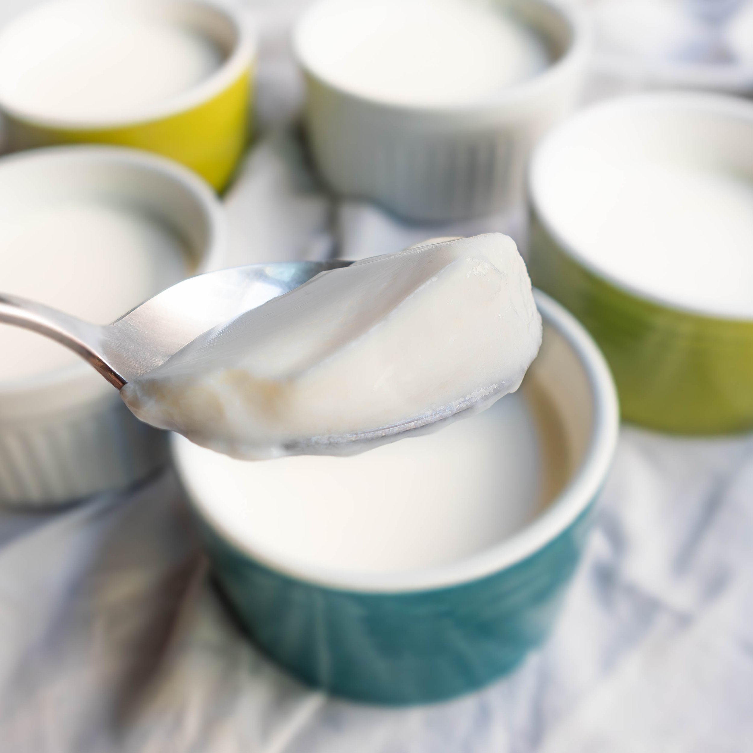 Easy Instant Pot Vietnamese Yogurt (Sữa Chua/Da Ua) — Vicky Pham