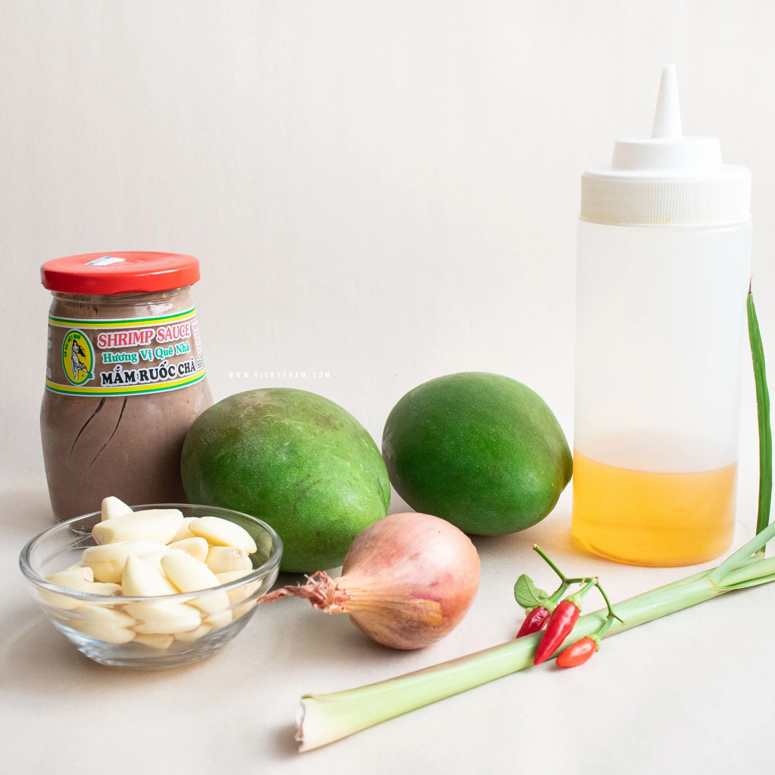 Fermented Shrimp Paste Dipping Sauce for Green Mangoes (Mắm Ruốc Chấm