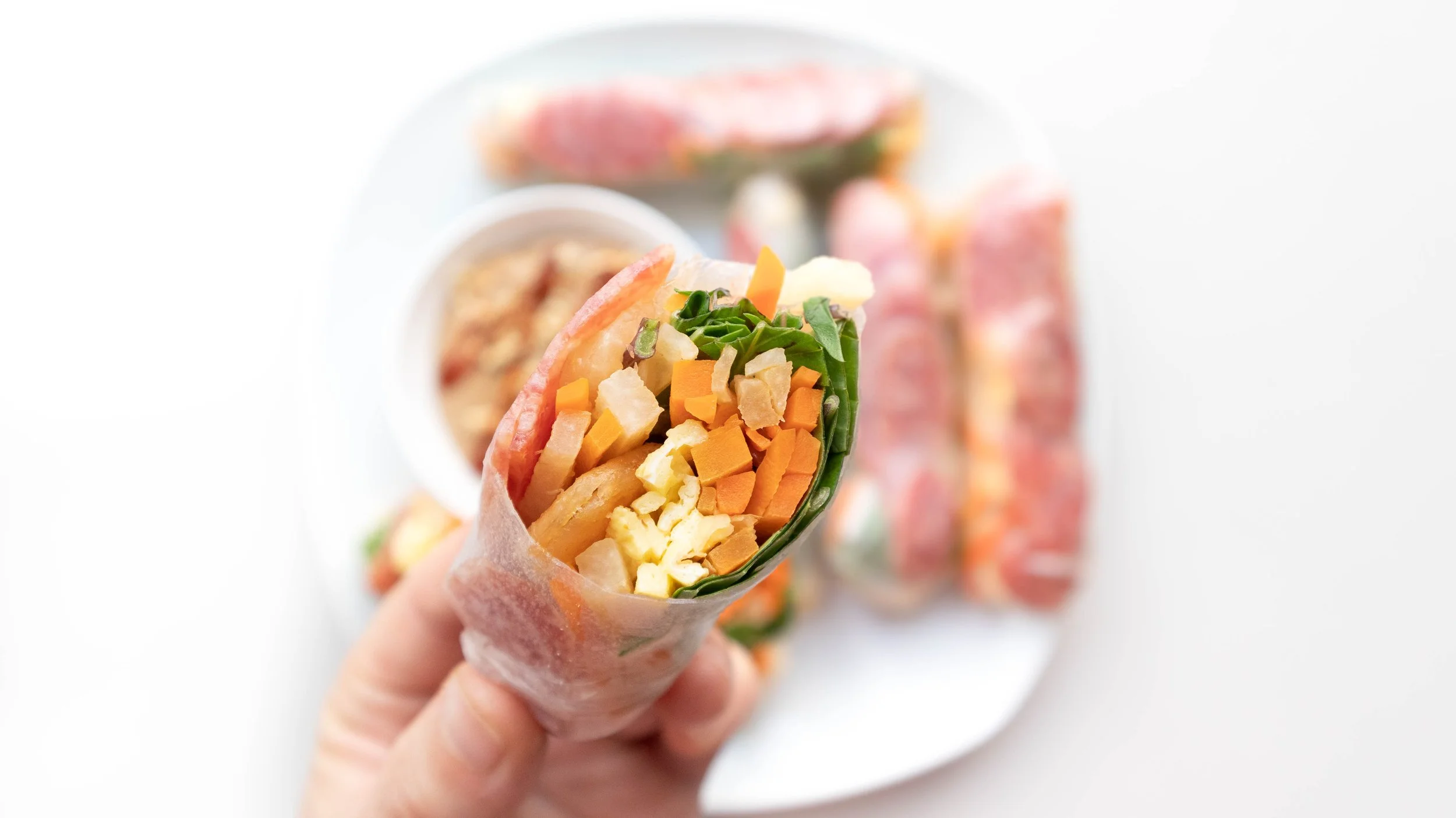 Vietnamese Jicama, Carrot, Egg & Chinese Sausage Spring Rolls (Bo Bia