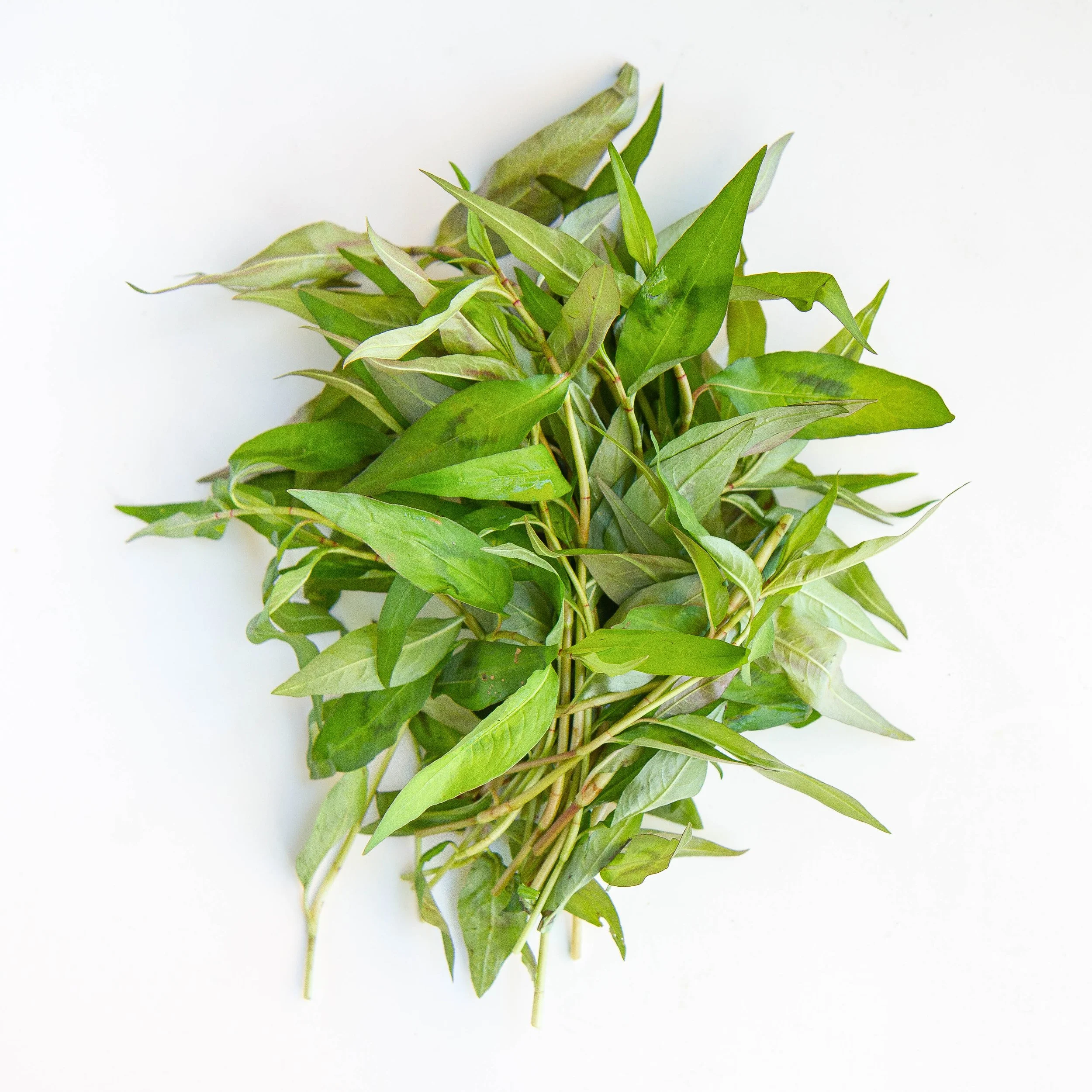 A Guide to the Most Common Herbs in Vietnamese Cuisine — Vicky Pham