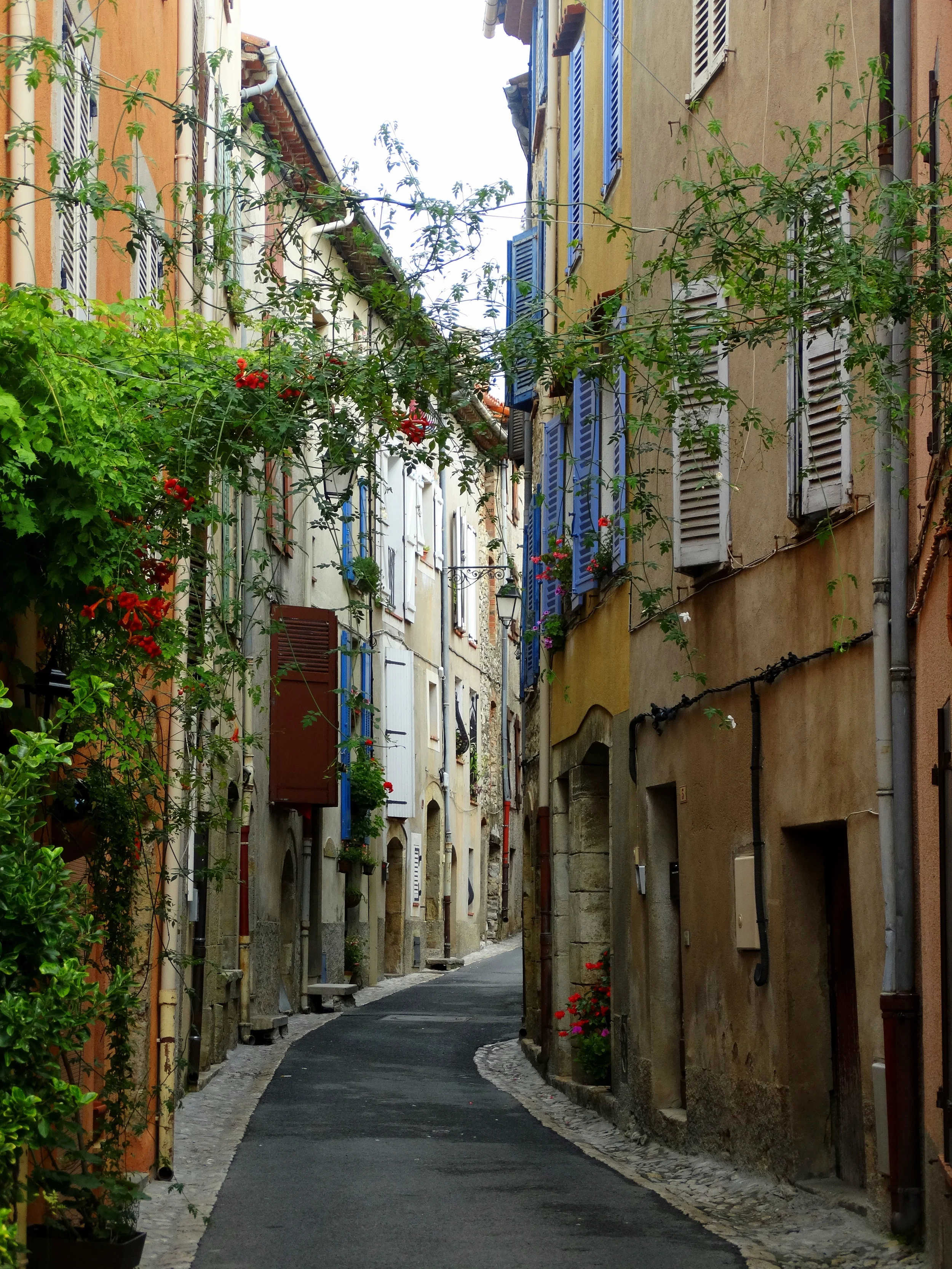 Montauroux street