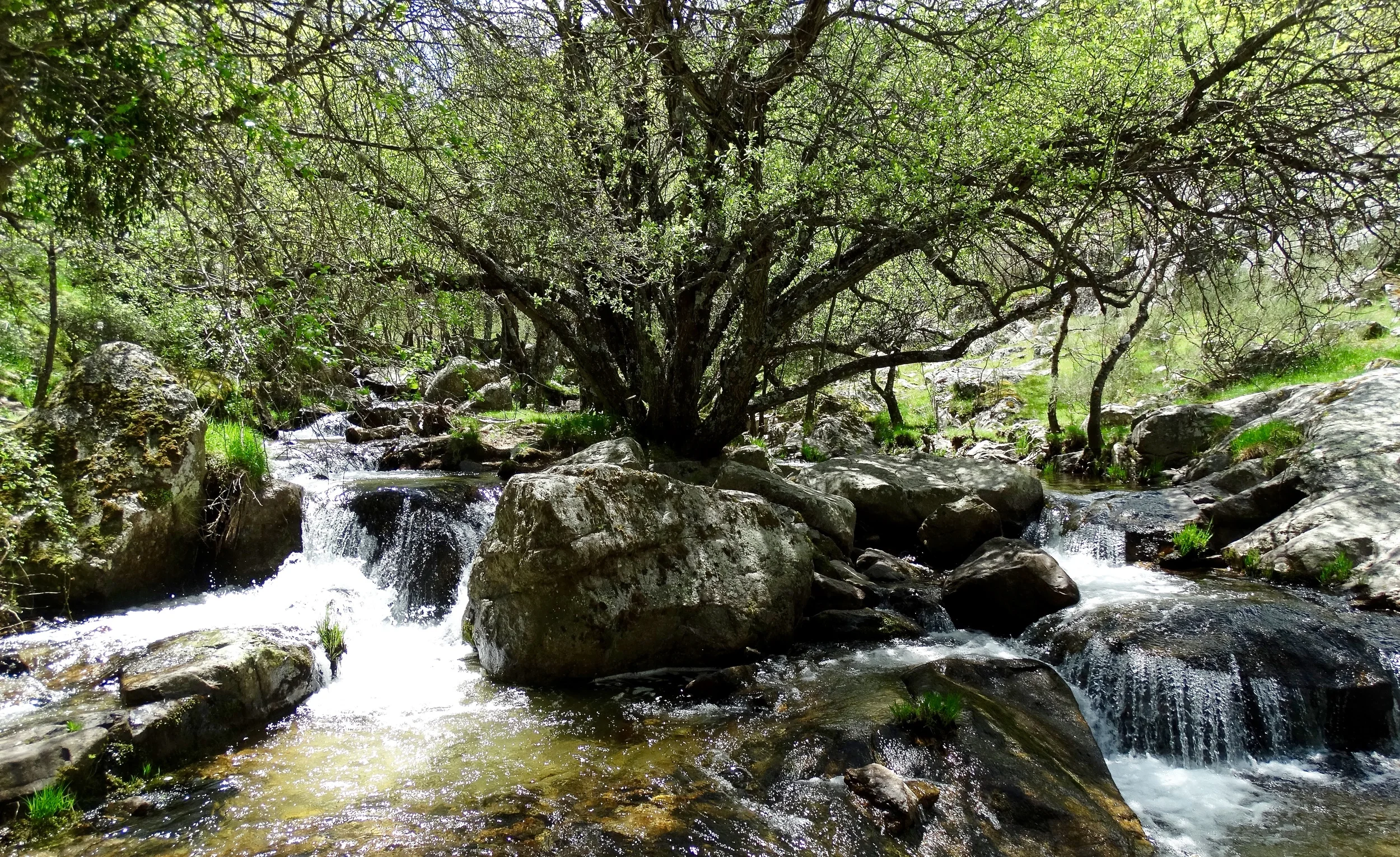 The route of the Aguilón