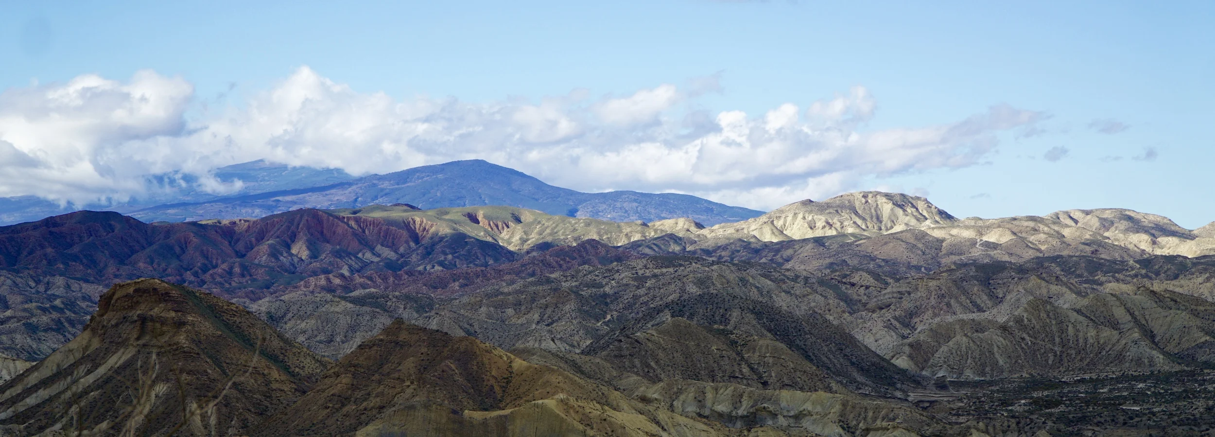 Tabernas desert