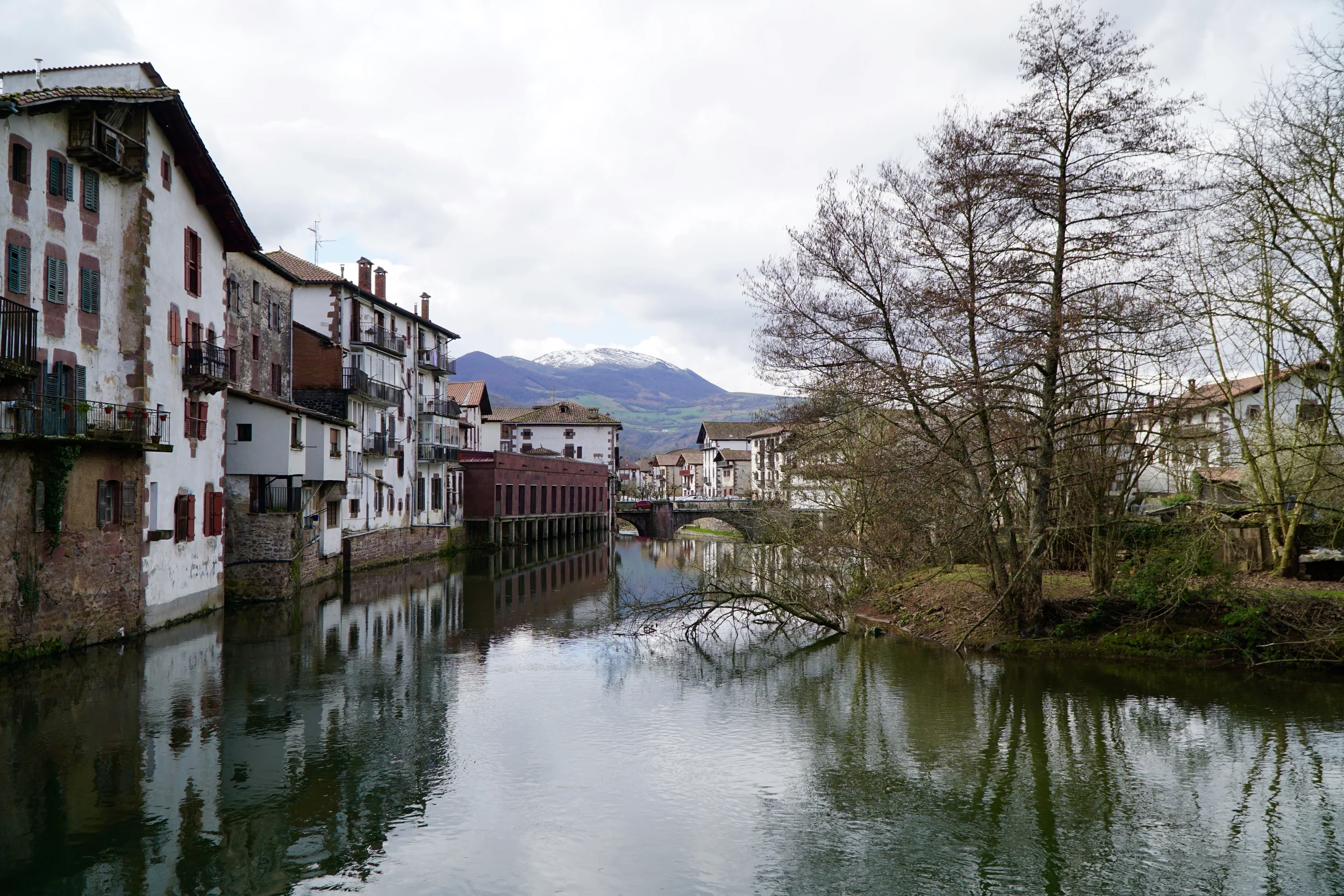Elizondo
