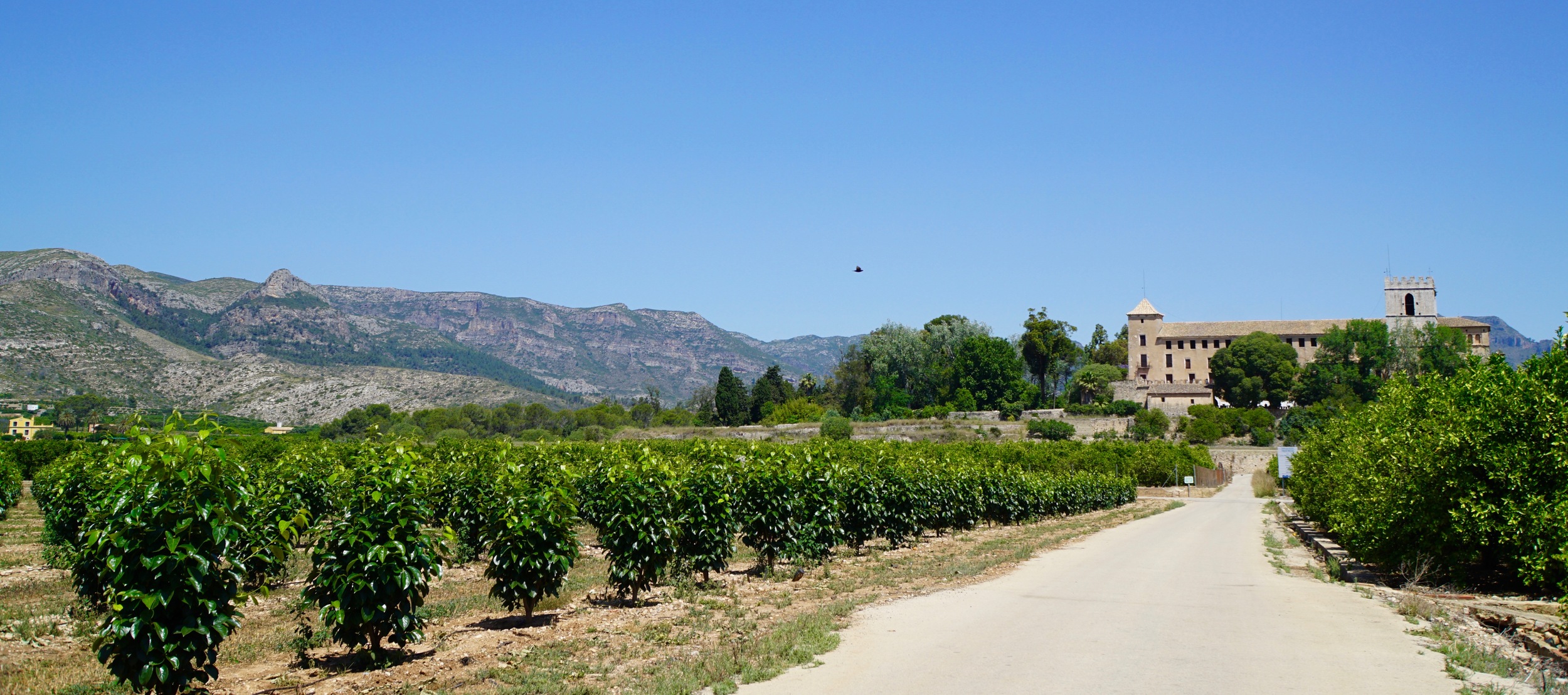 Sant Jeroni